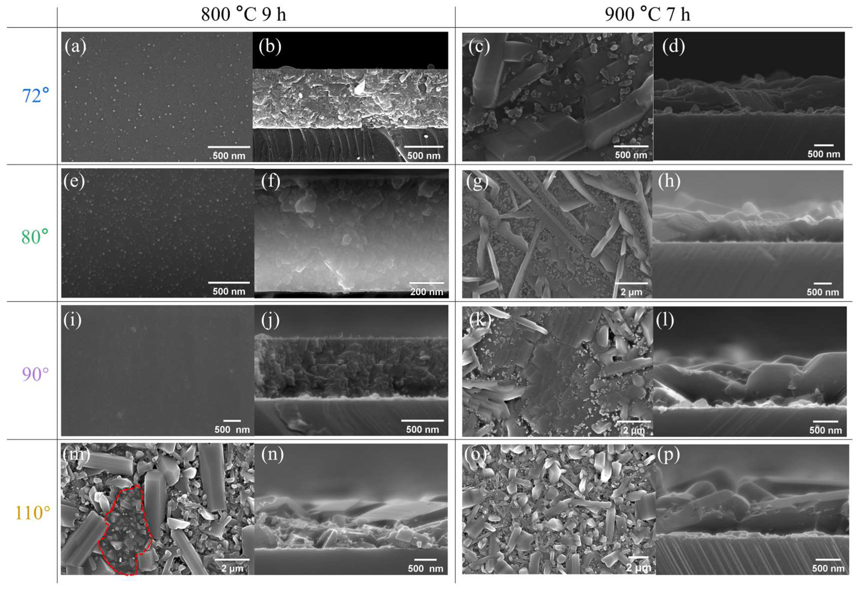 Coatings 13 01800 g004