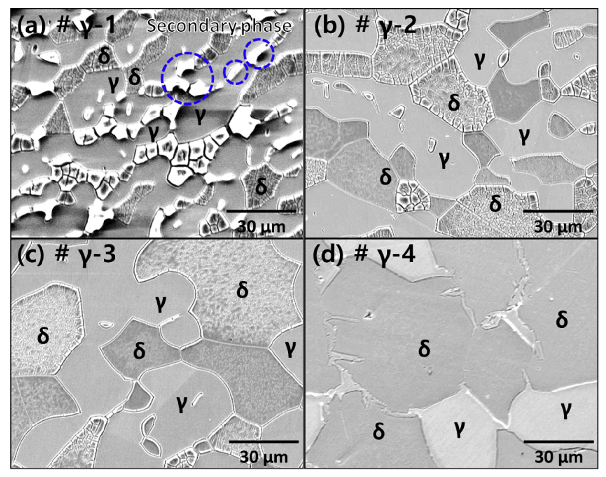 Coatings 13 01807 g004