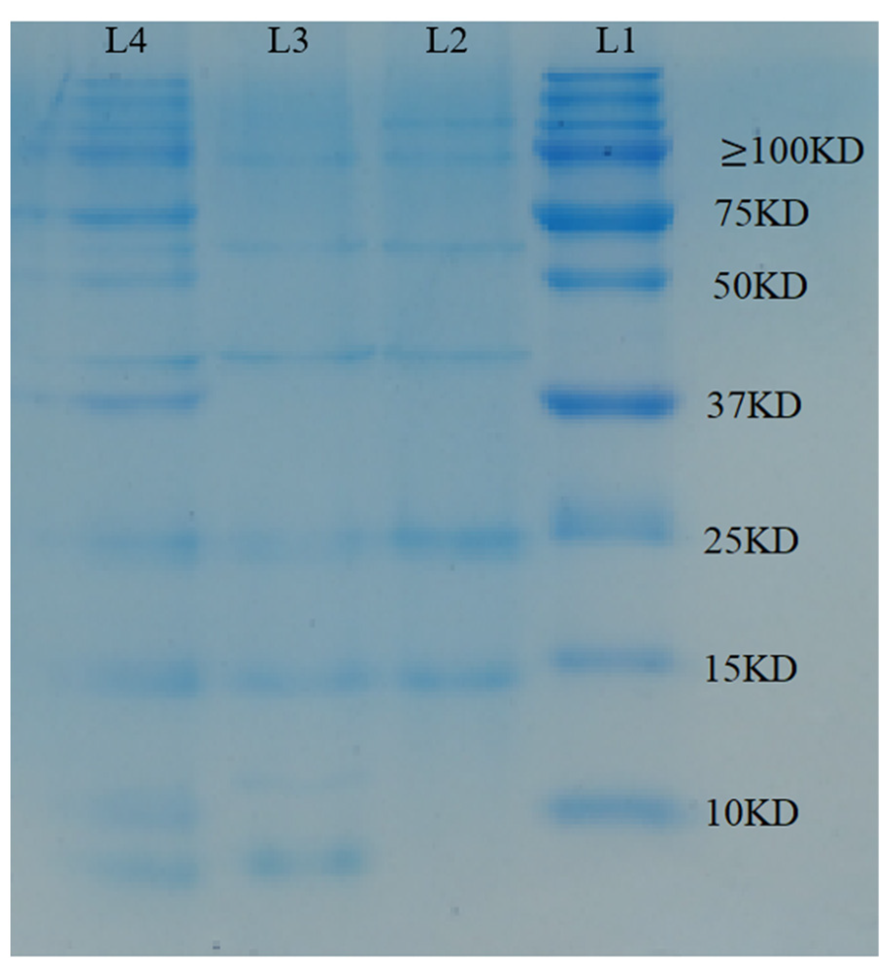 Coatings 13 01825 g005