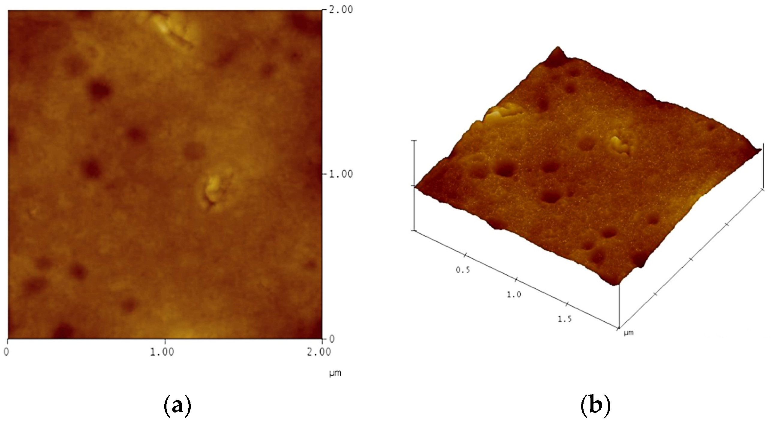Coatings 13 01825 g011