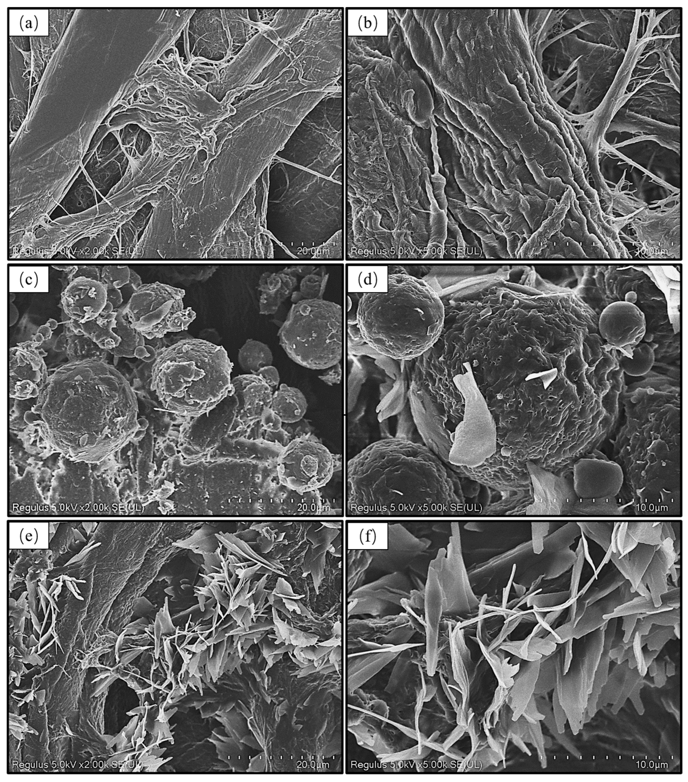 Coatings 13 01829 g006