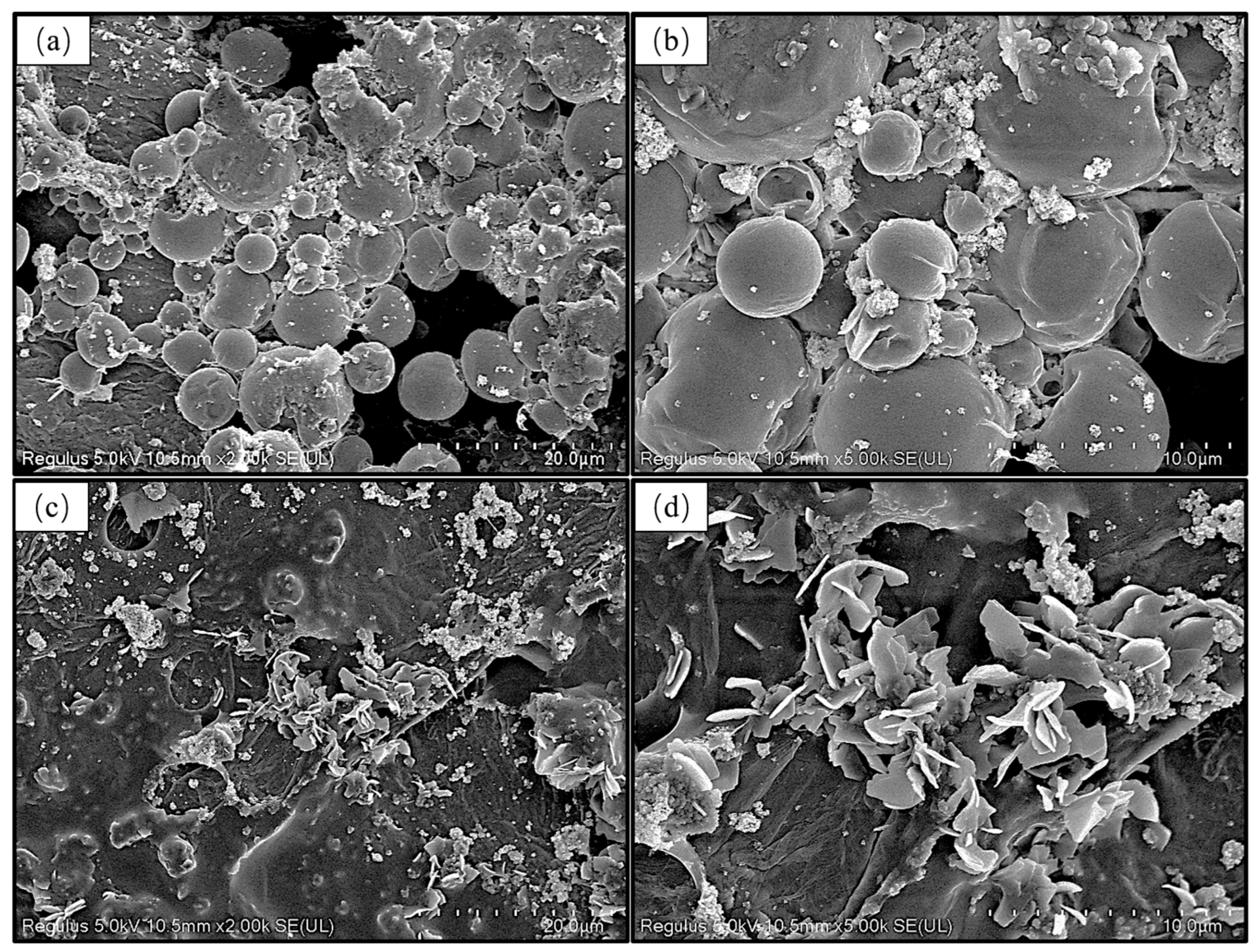 Coatings 13 01829 g007