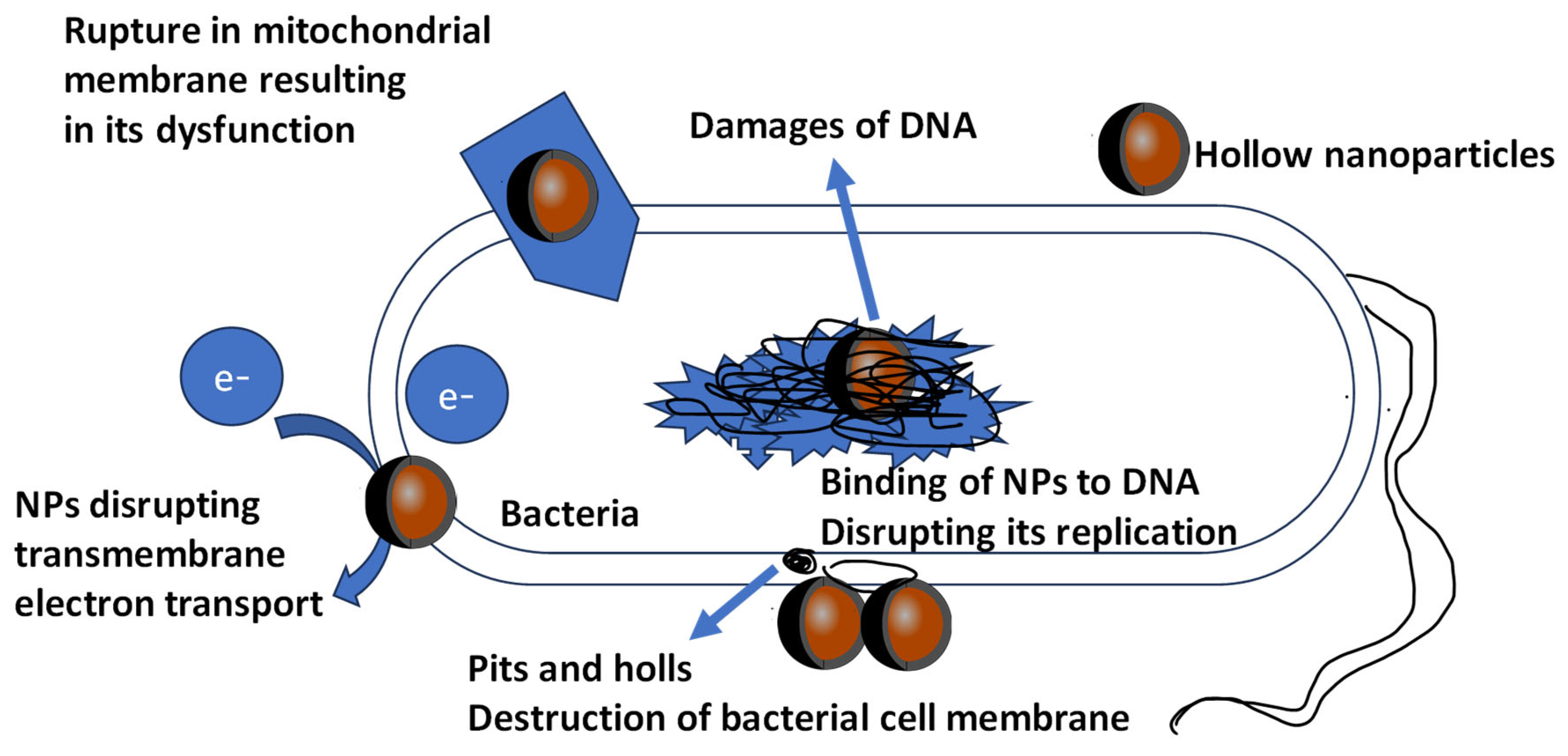 Coatings 13 01830 g003