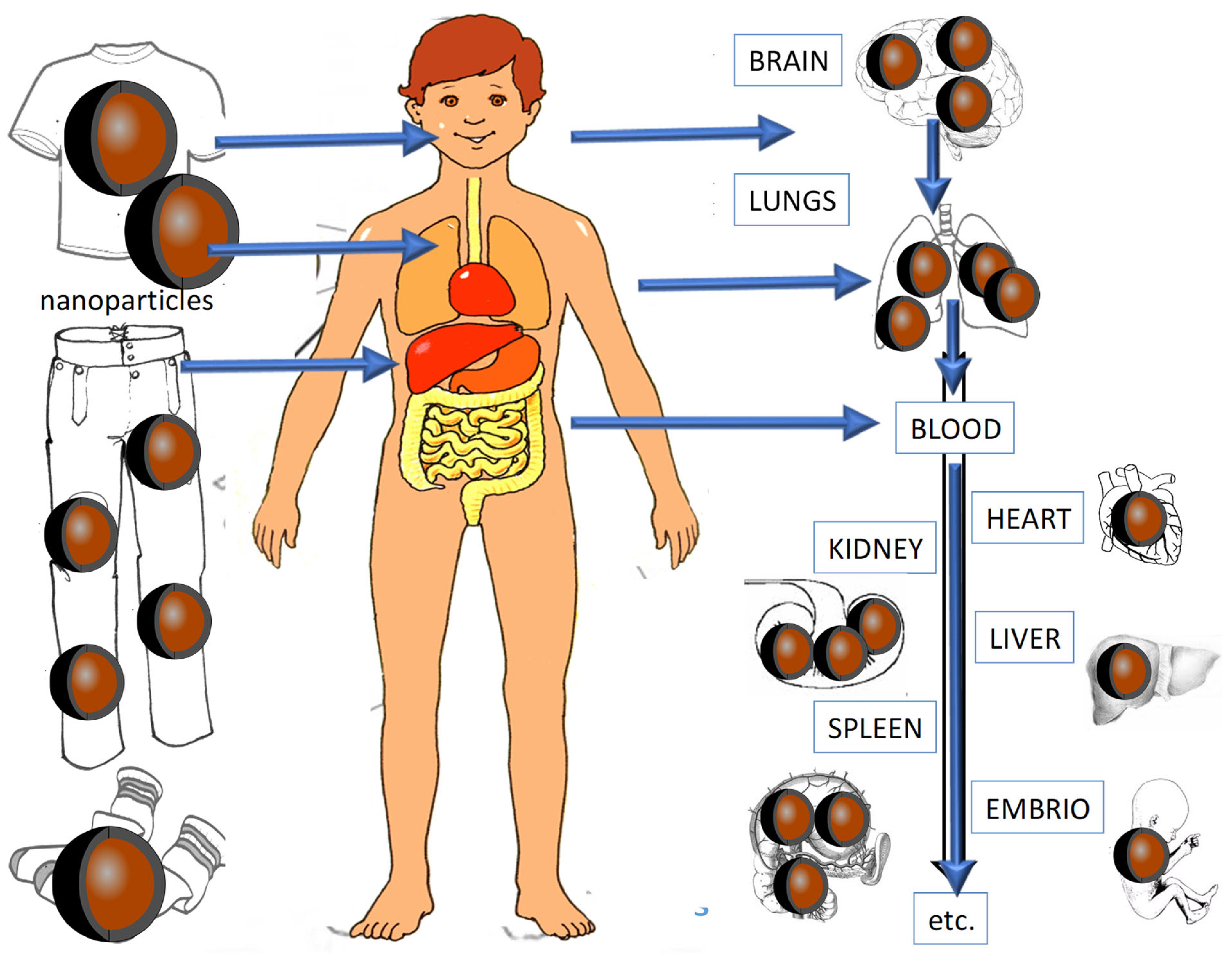 Coatings 13 01830 g004