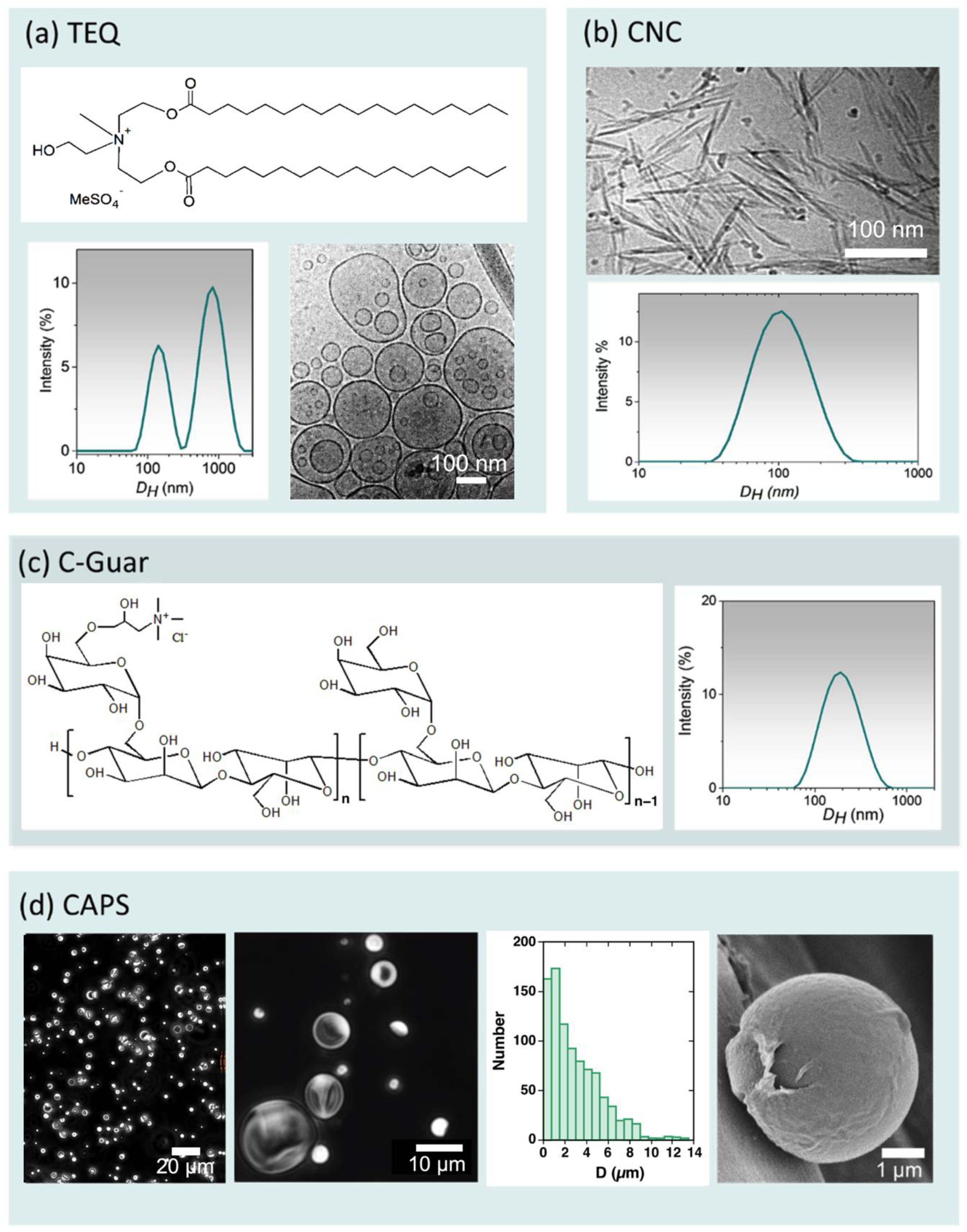 Coatings 13 01831 g001