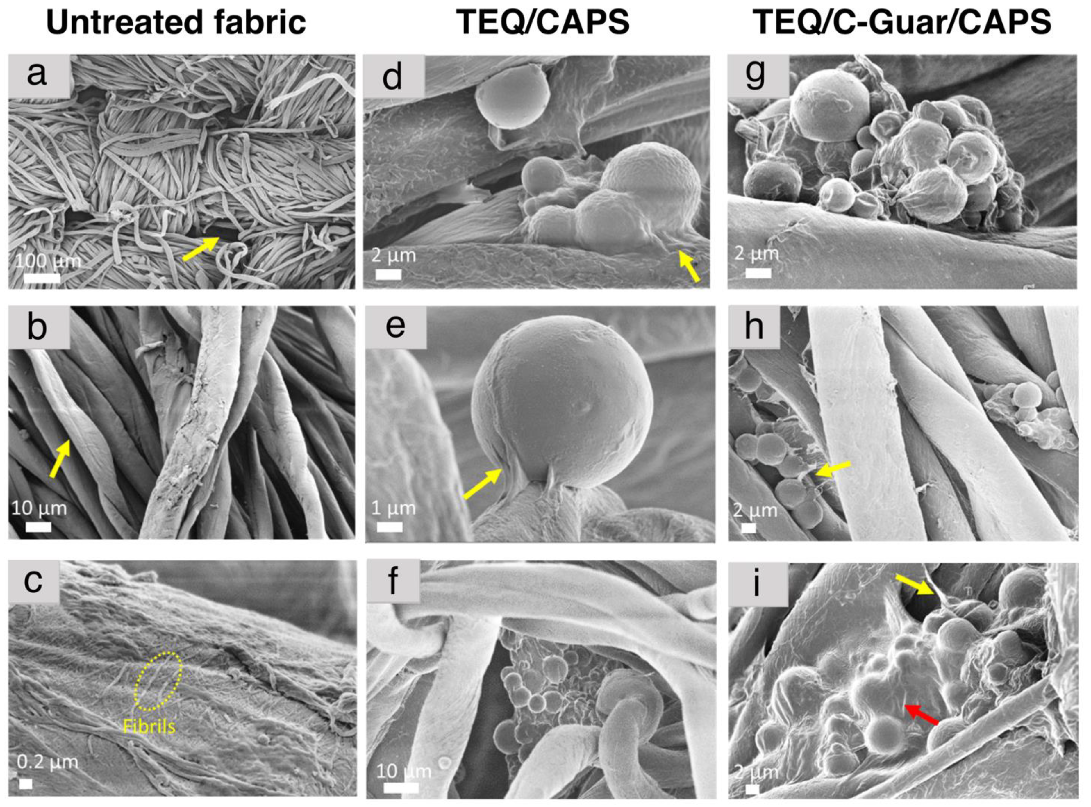 Coatings 13 01831 g005