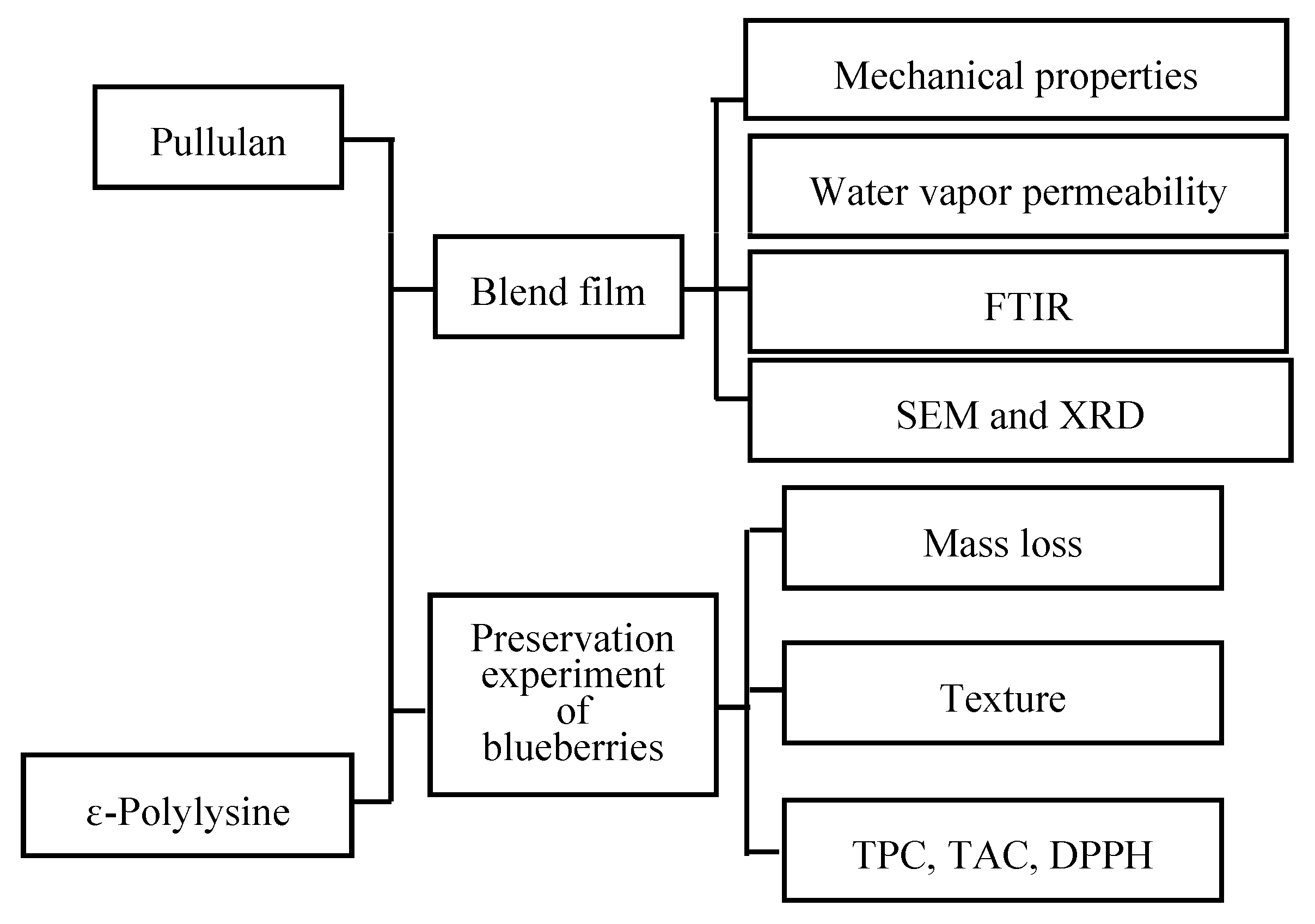 Coatings 13 01832 sch001