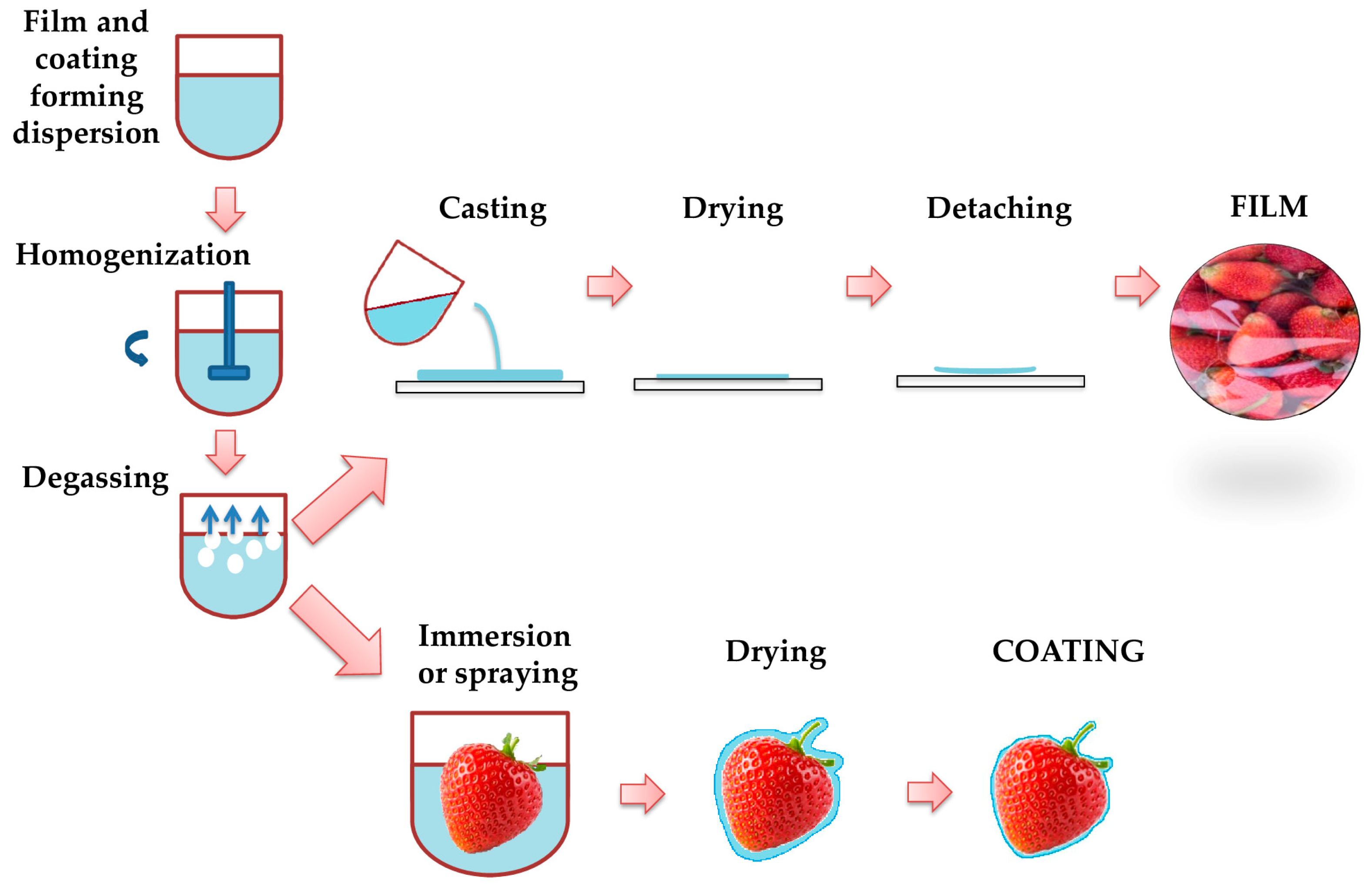 Coatings 13 01835 g005