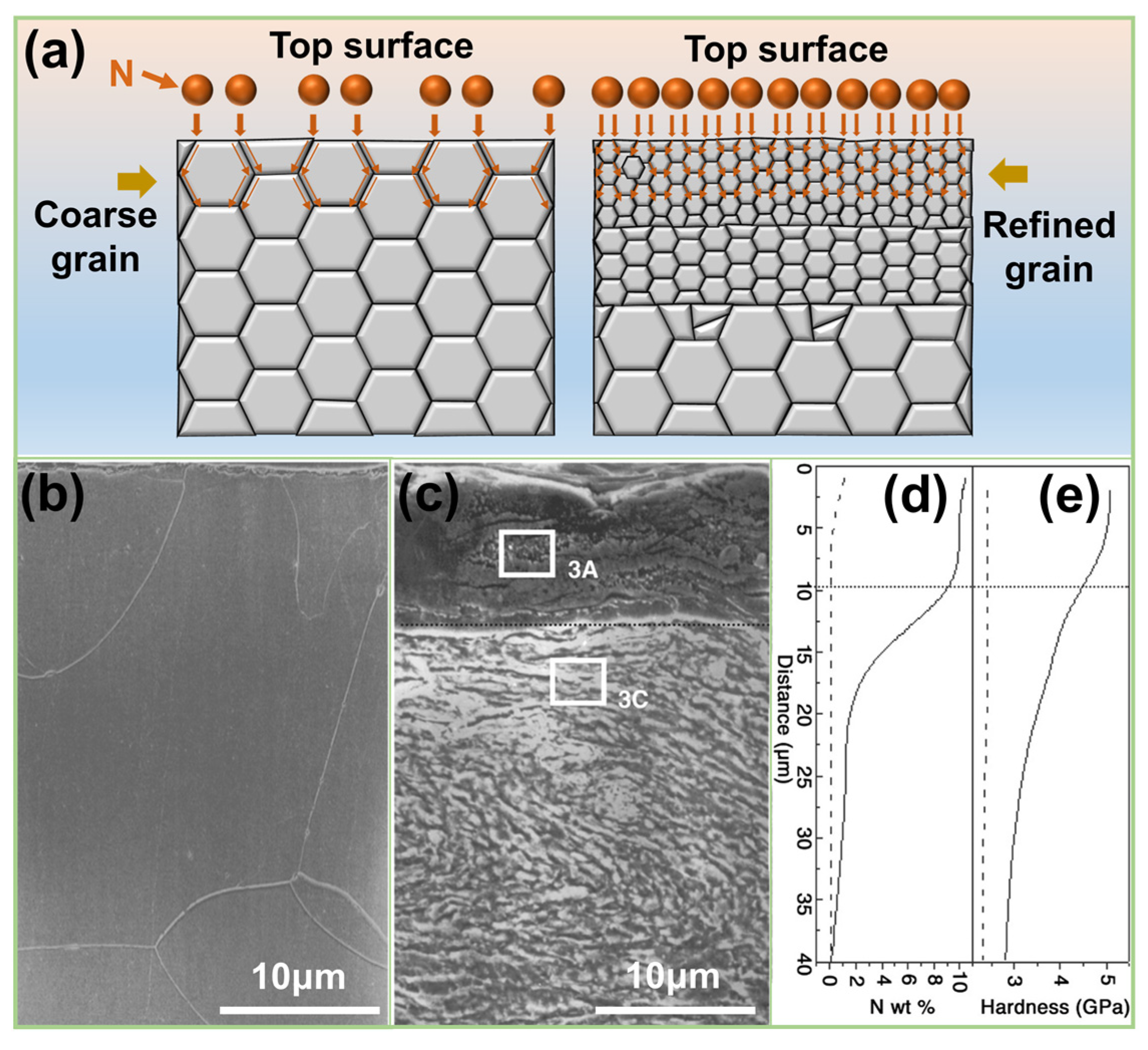Coatings 13 01846 g008