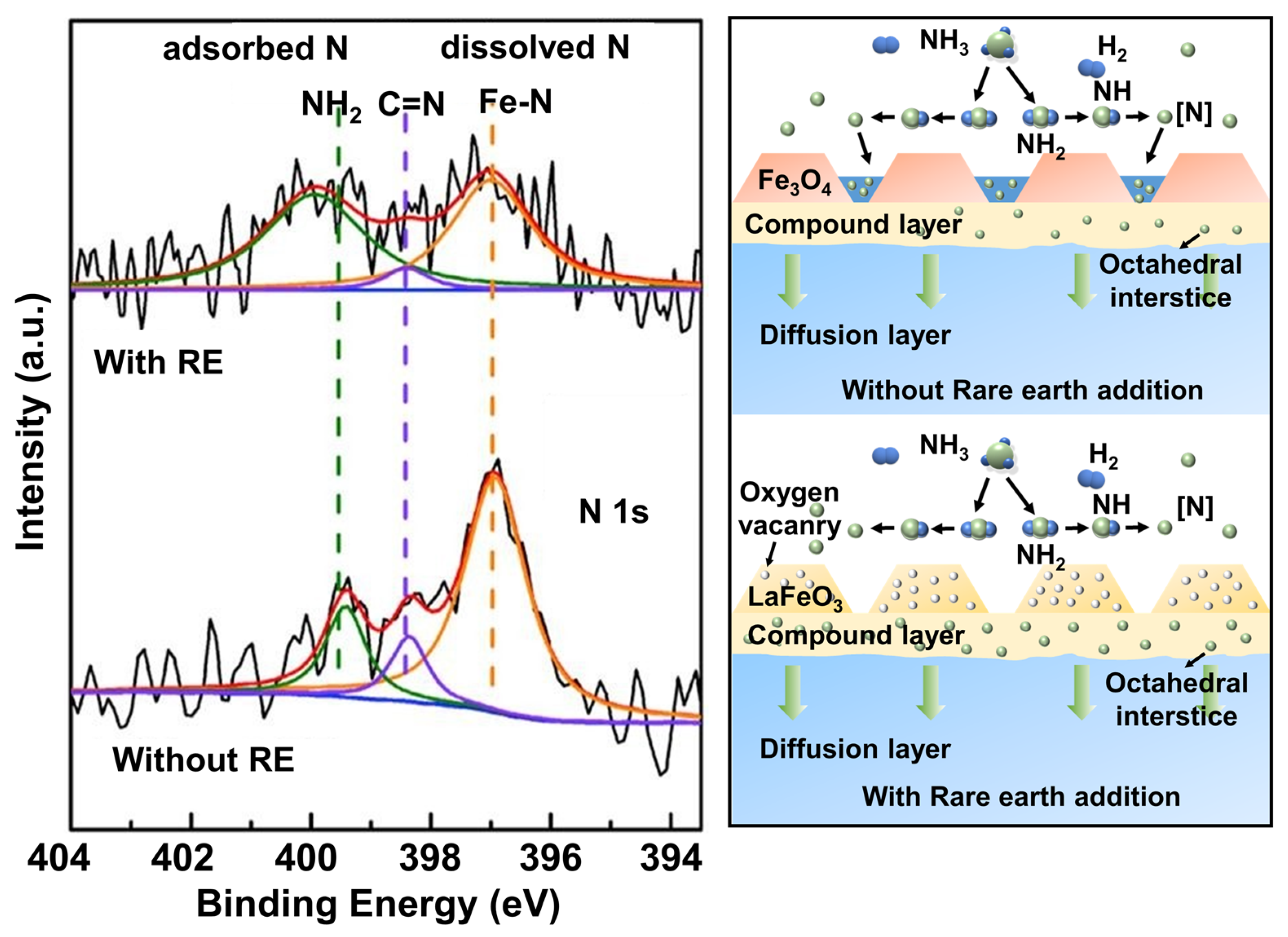 Coatings 13 01846 g012