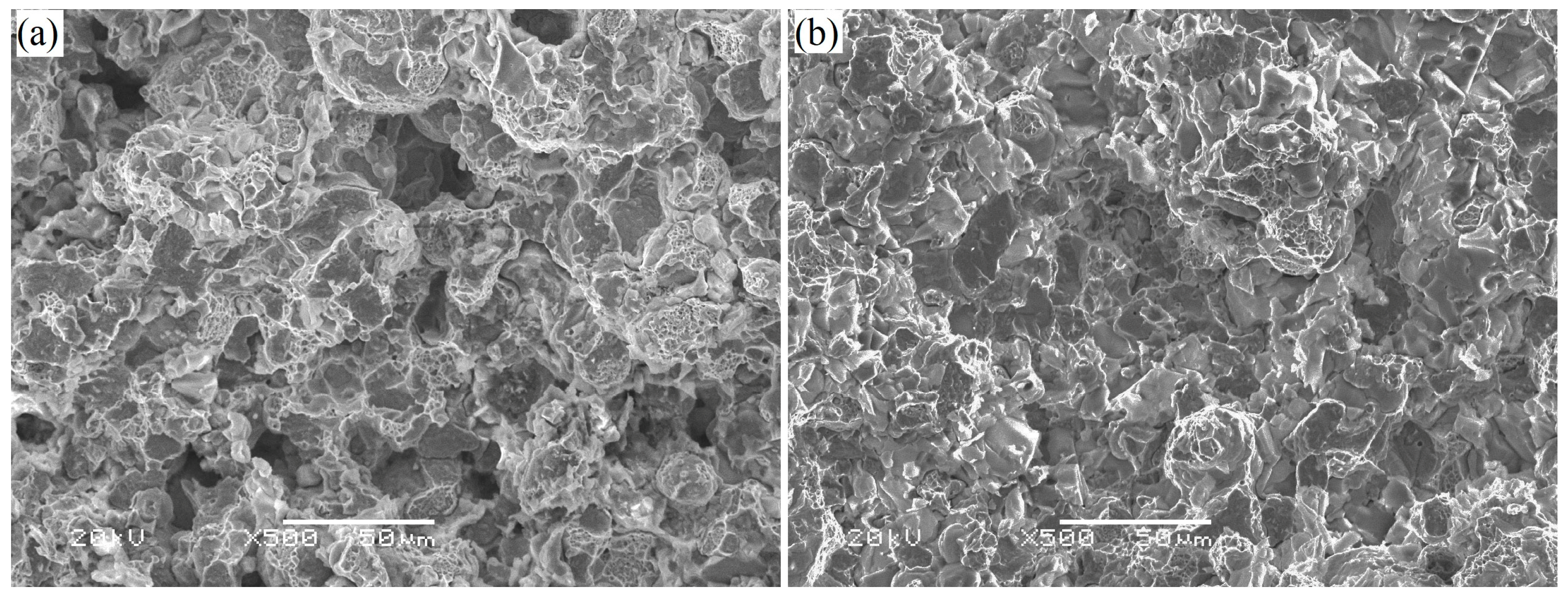 Coatings 13 01856 g005