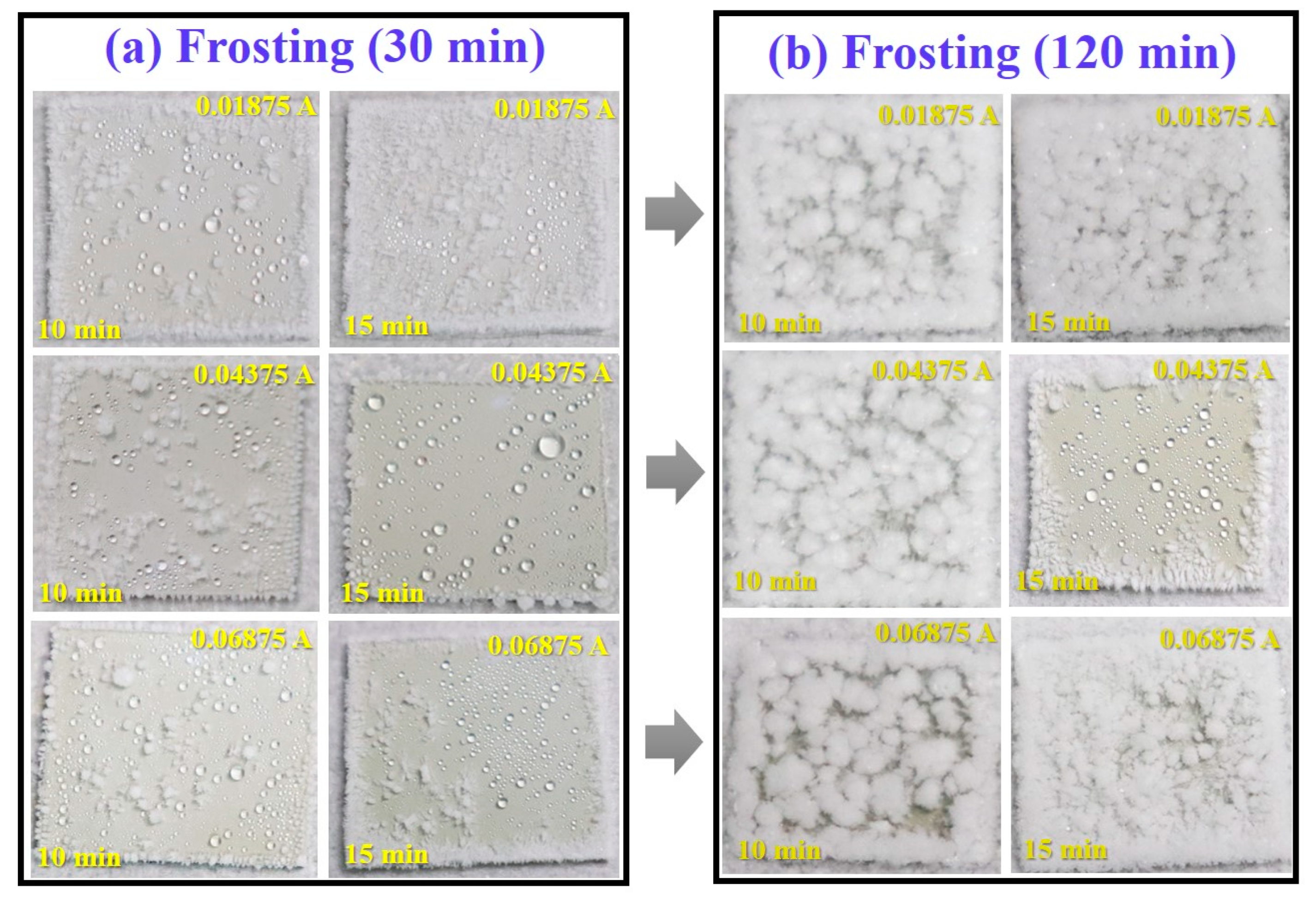 Coatings 13 01859 g006