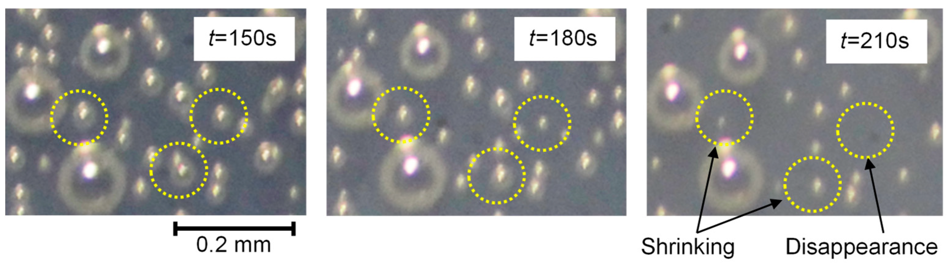 Coatings 13 01860 g004 Coatings 13 01860 g004