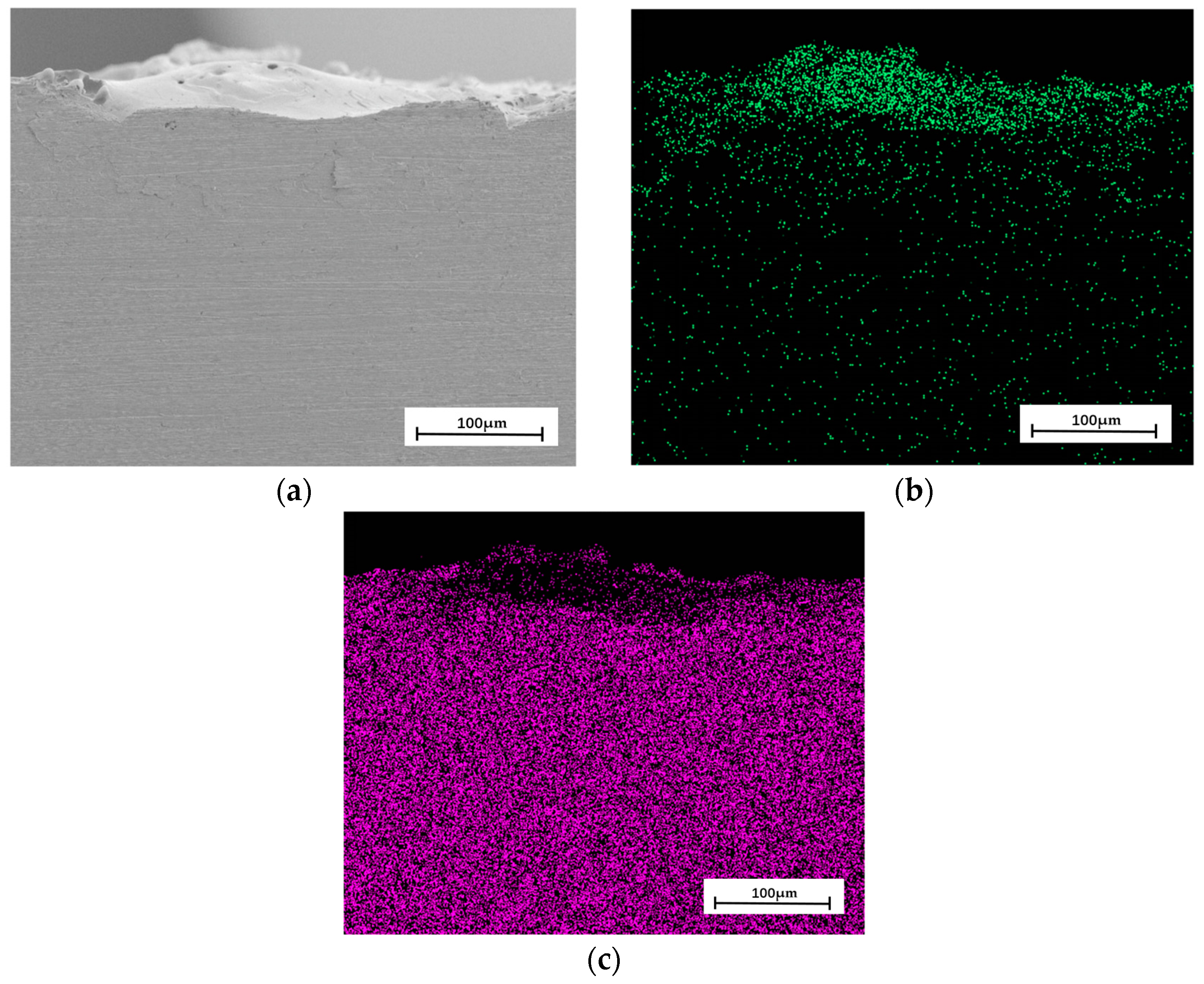 Coatings 13 01865 g012