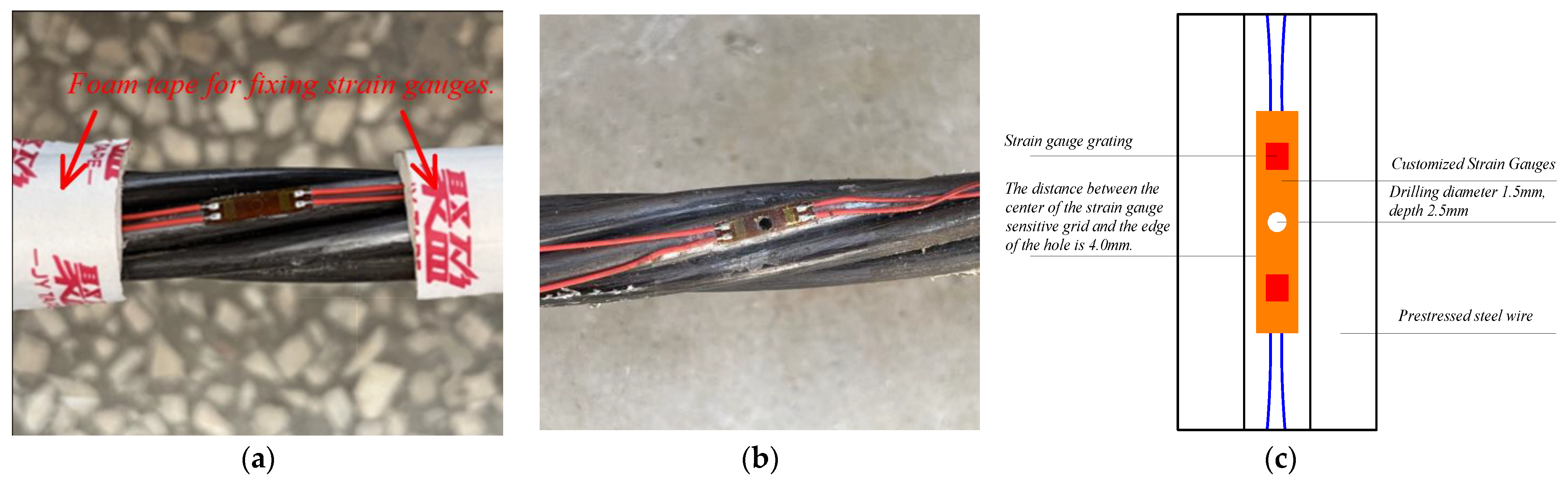 Coatings 13 01869 g015