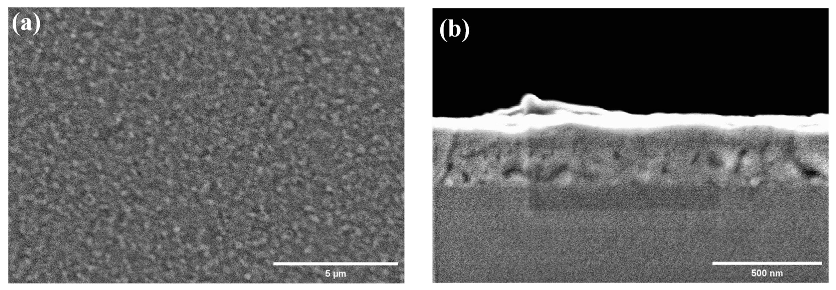 Coatings 13 01878 g007