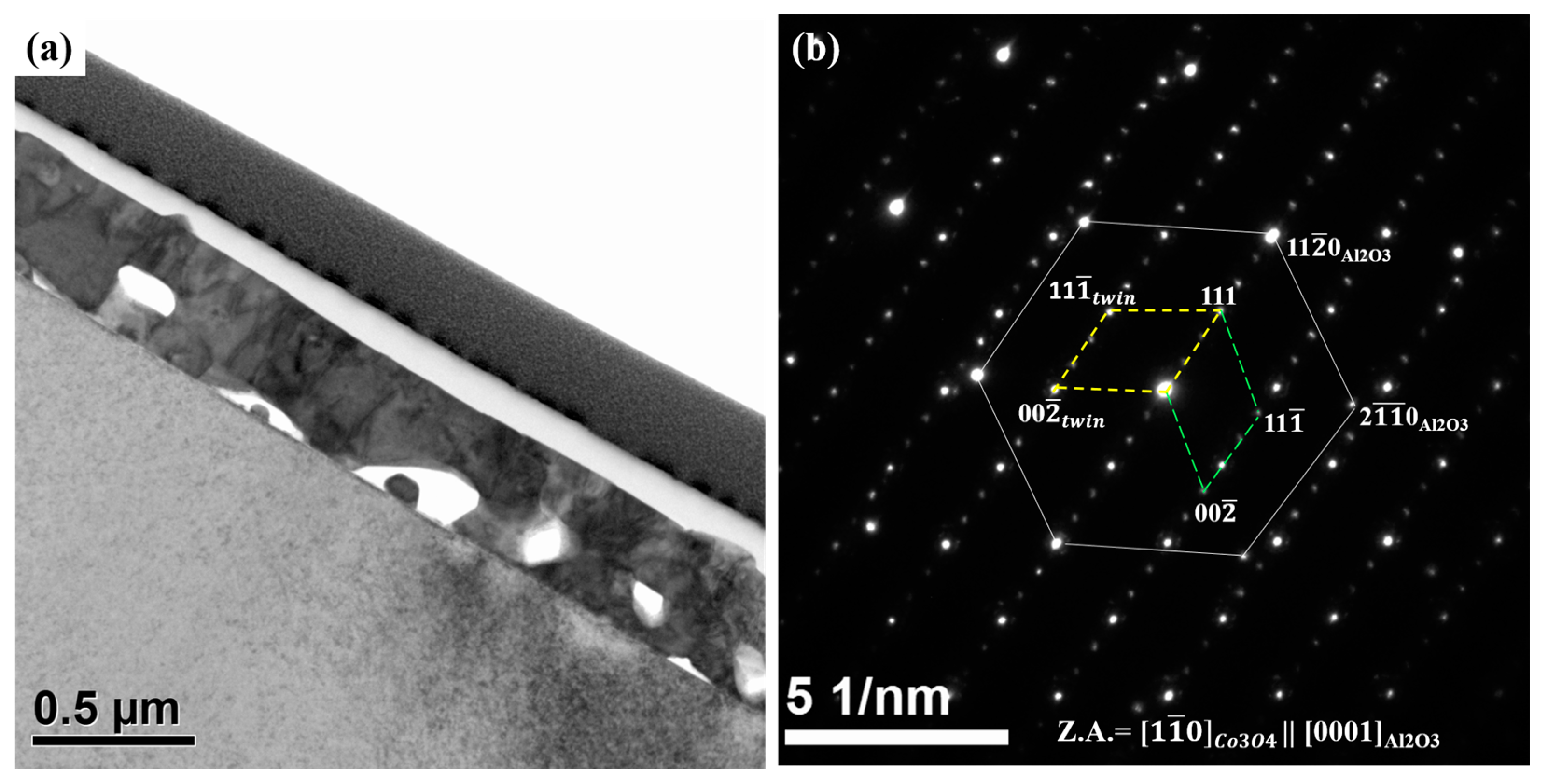 Coatings 13 01878 g012