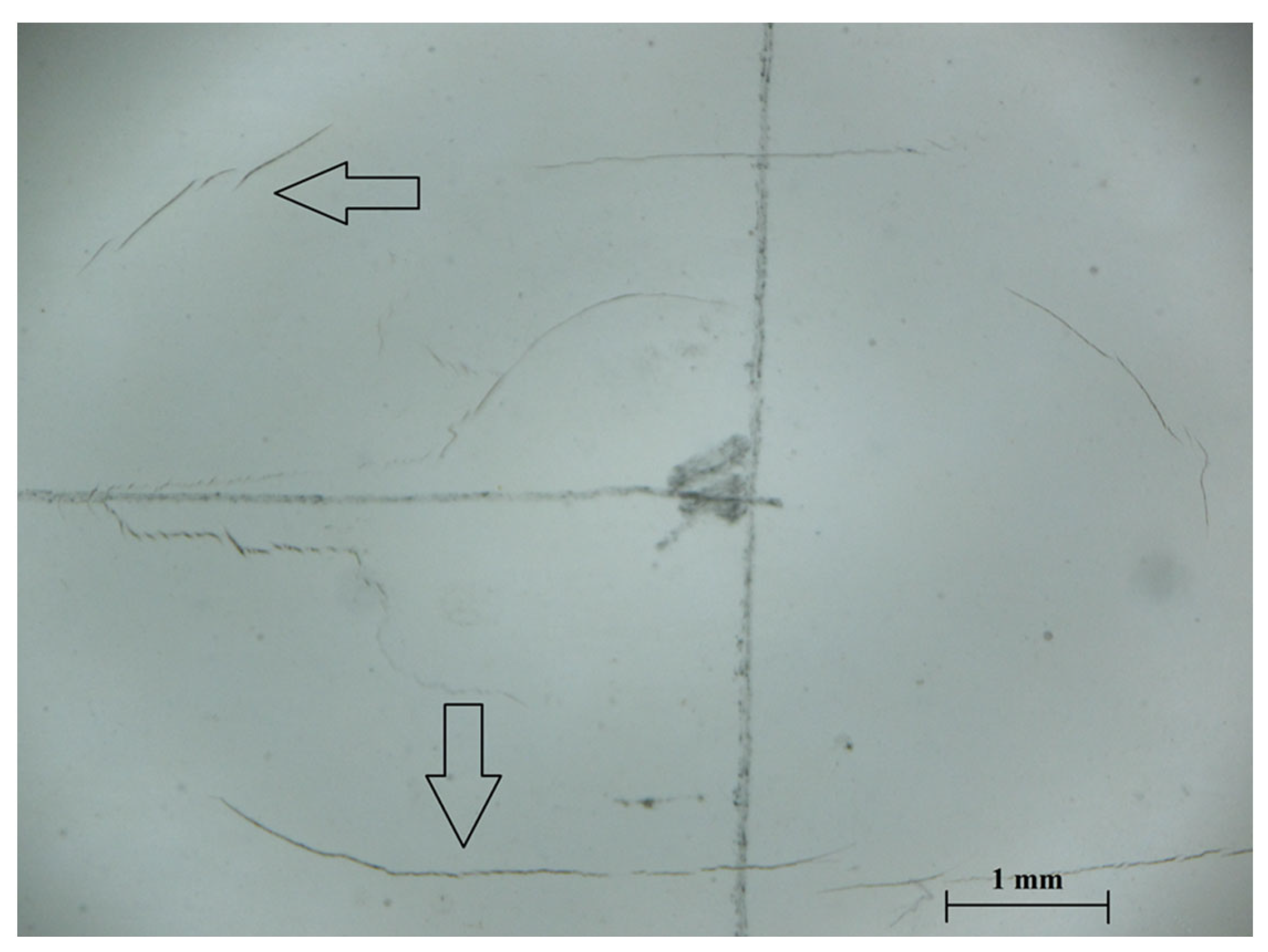Coatings 13 01903 g006