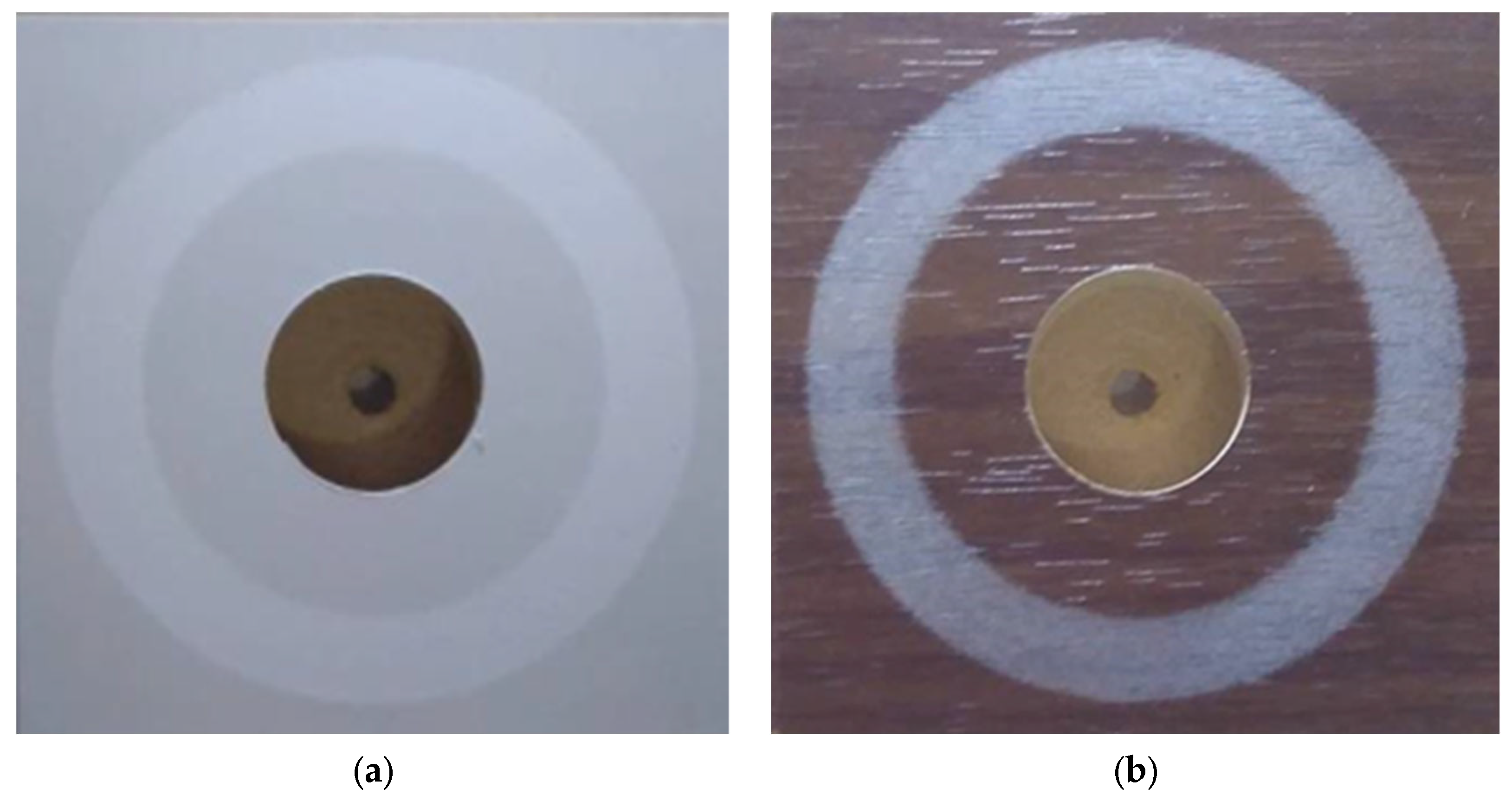 Coatings 13 01903 g007