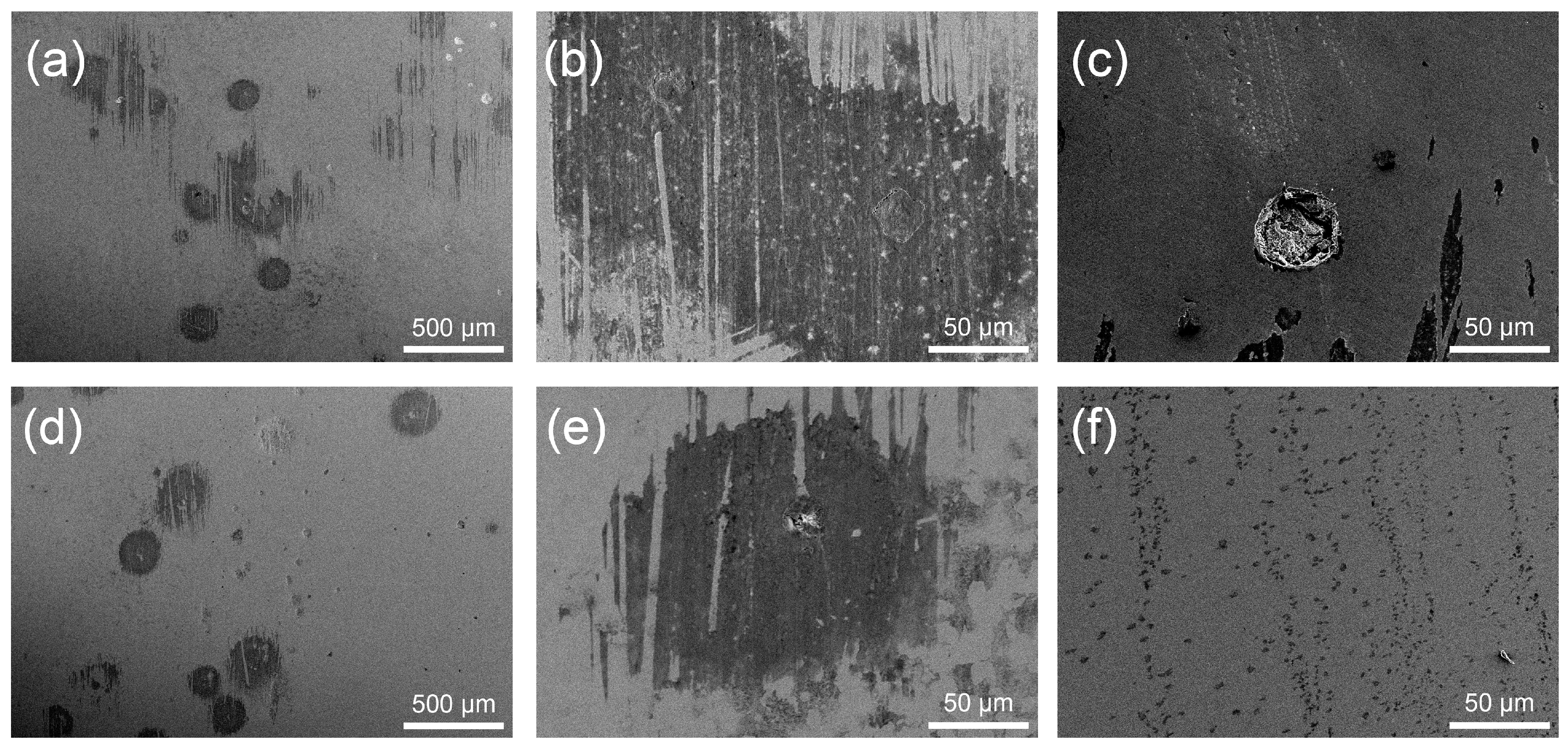 Coatings 13 01904 g013