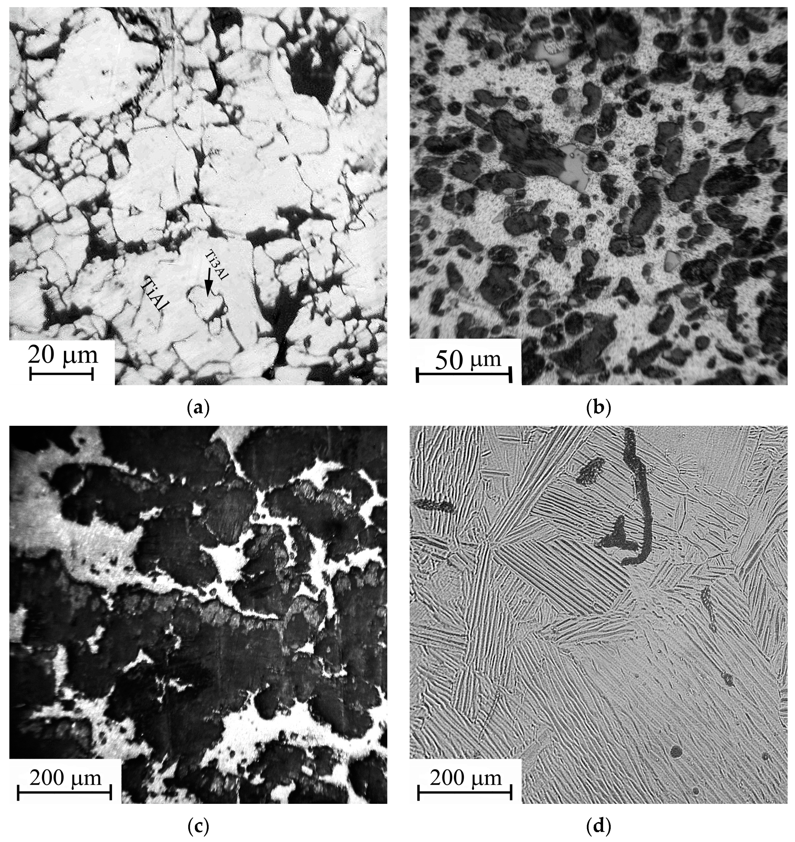 Coatings 13 01906 g002