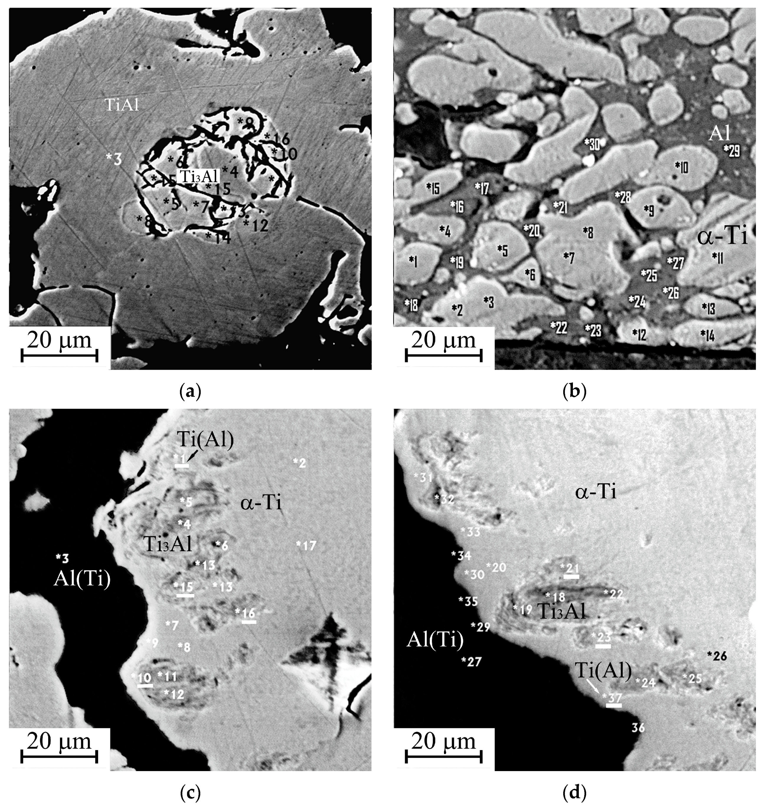 Coatings 13 01906 g003