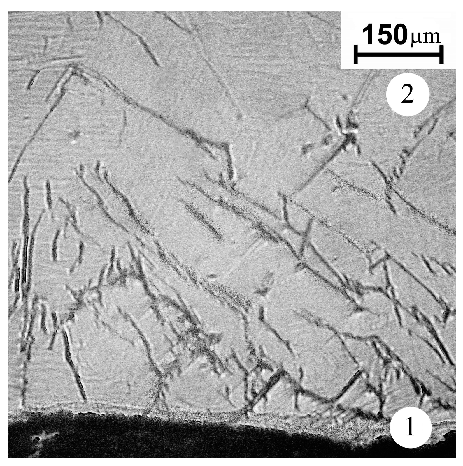 Coatings 13 01906 g004