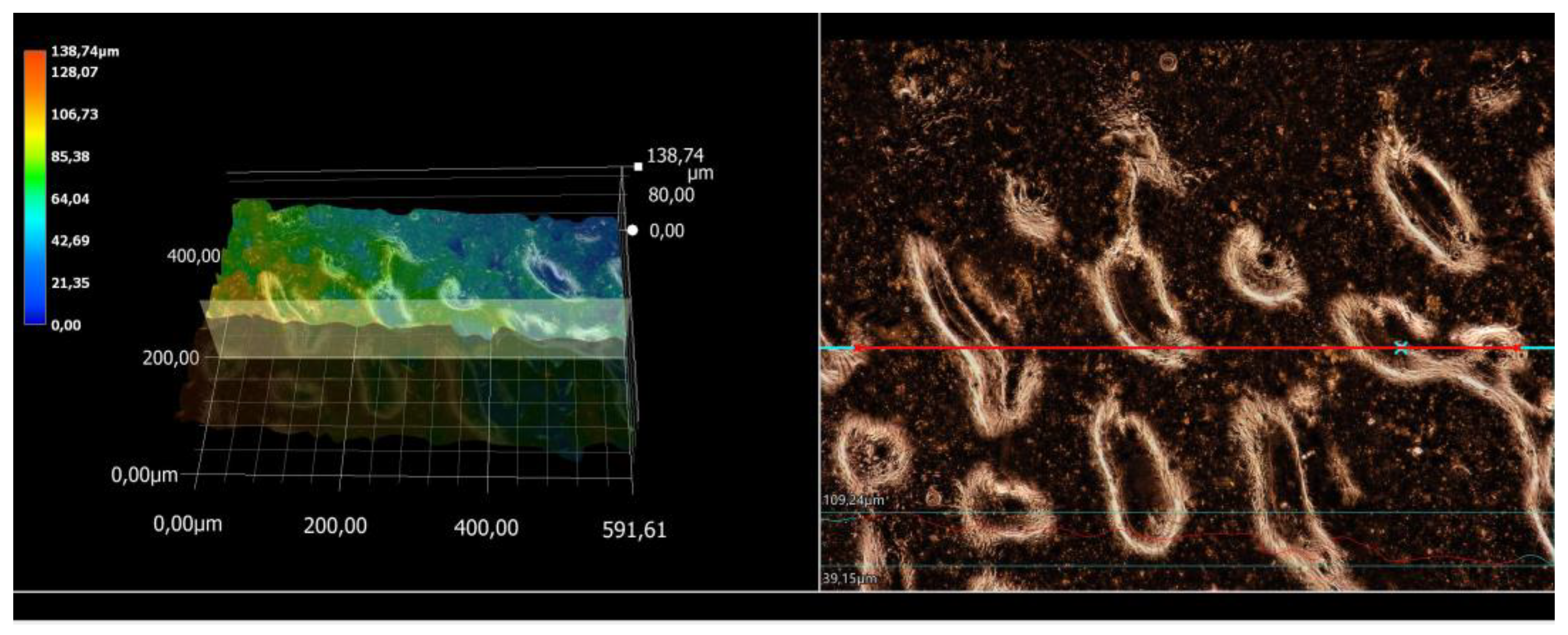 Coatings 13 01907 g011
