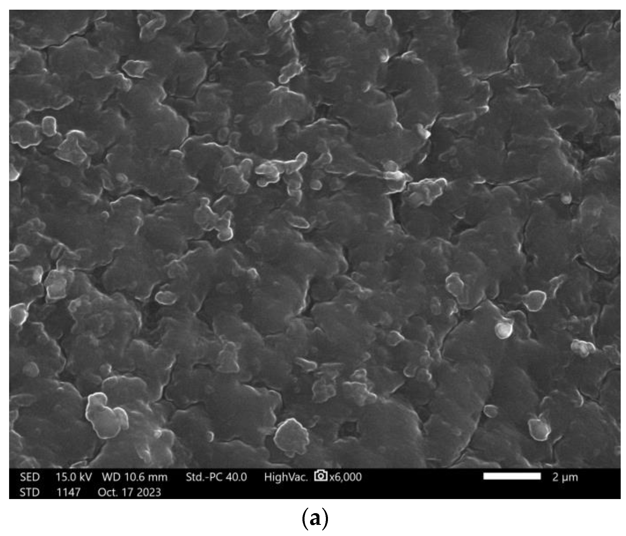 Coatings 13 01907 g015a