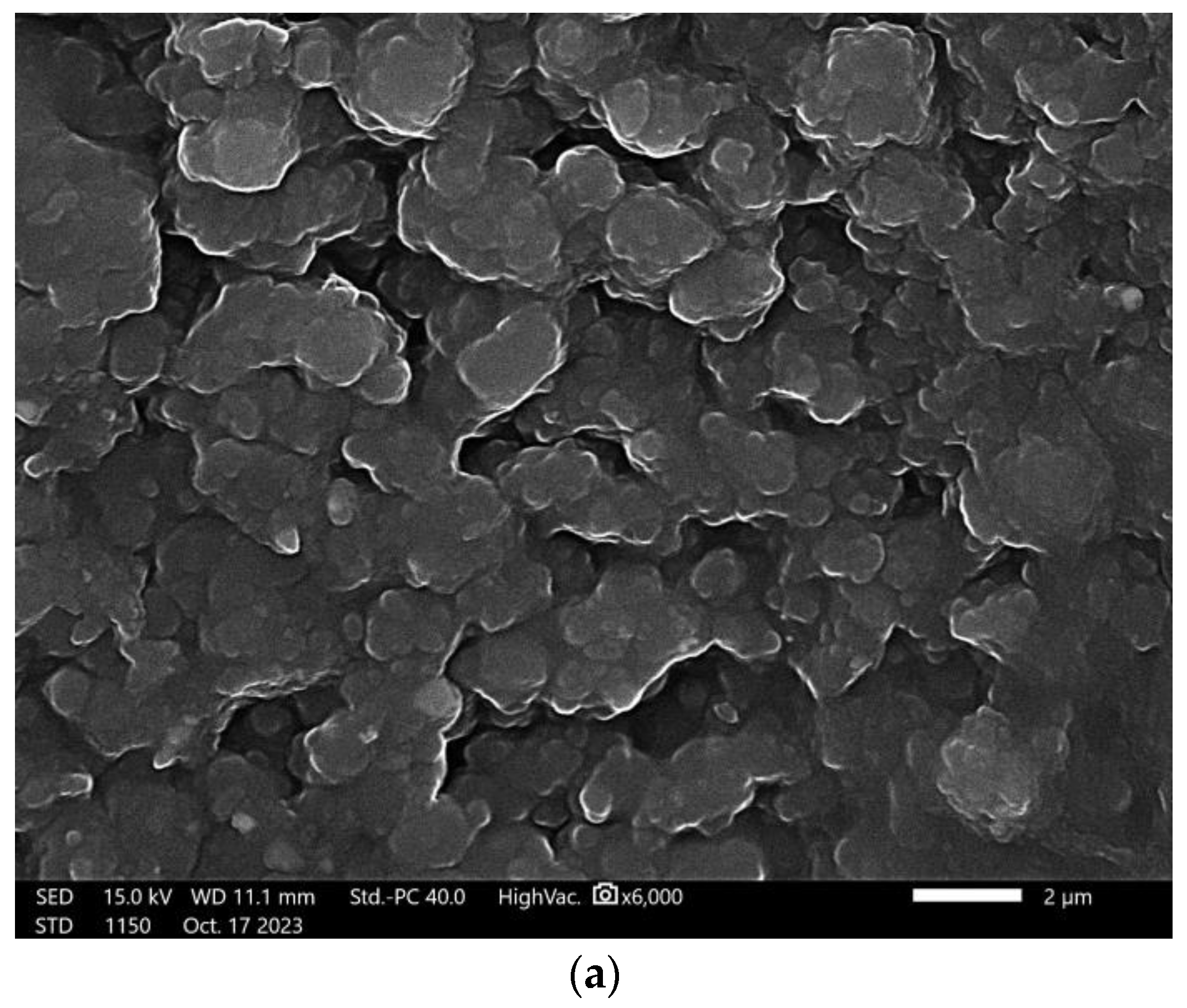 Coatings 13 01907 g016a