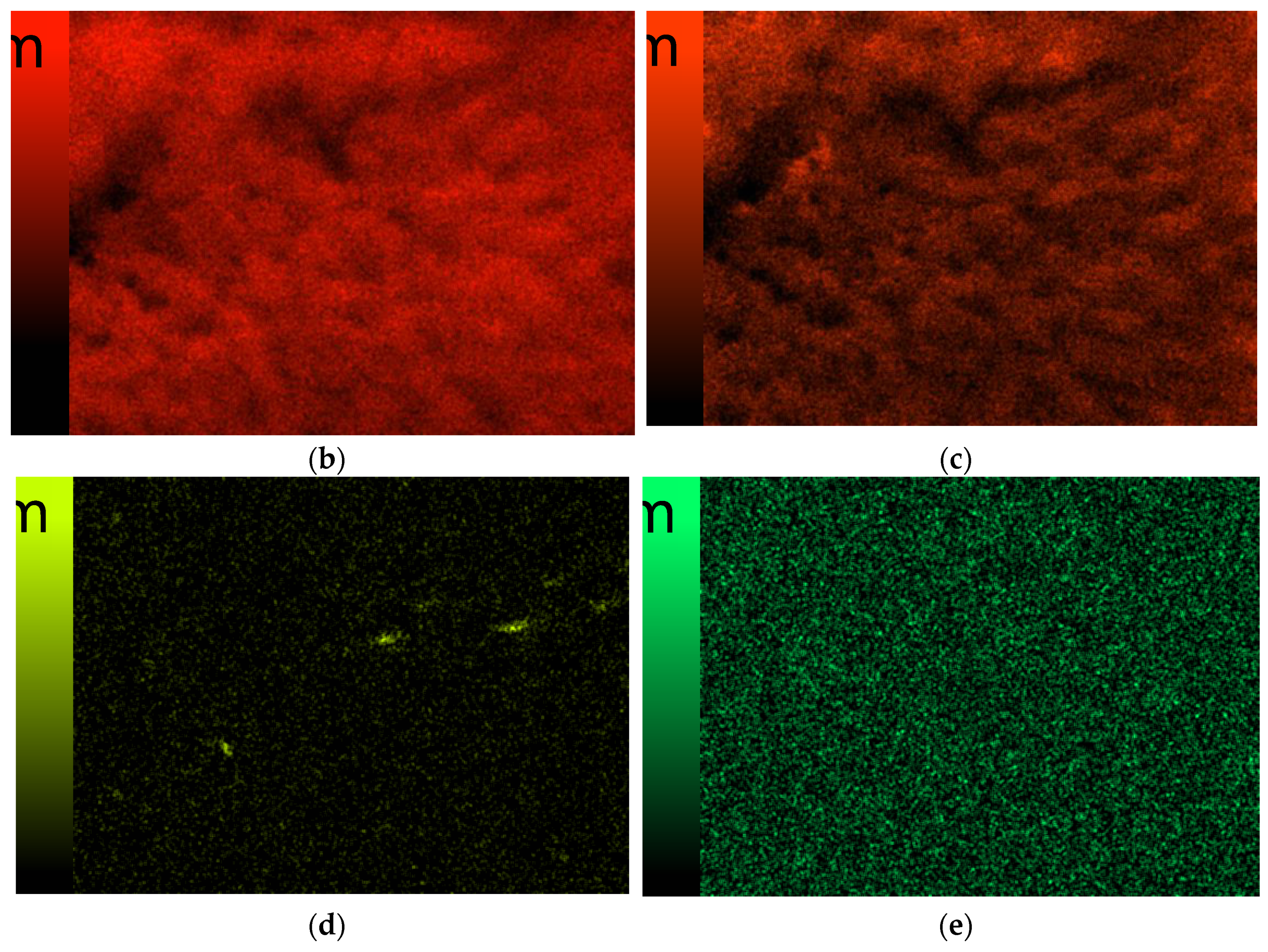 Coatings 13 01907 g017b