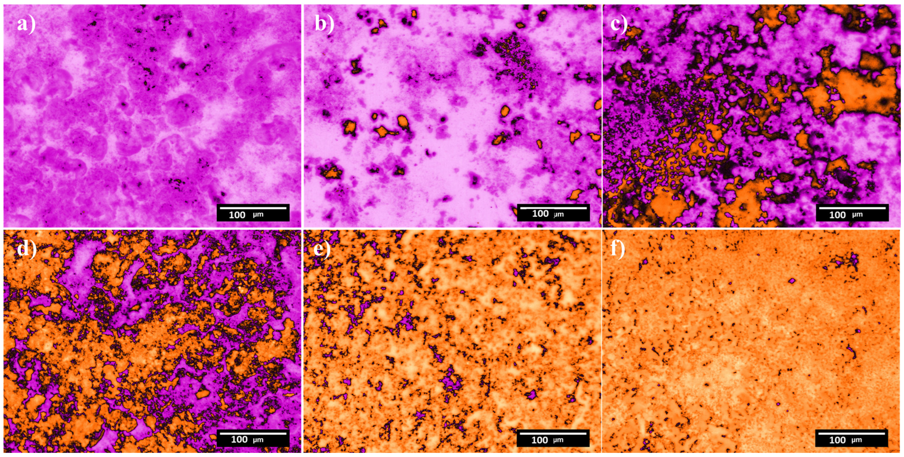 Coatings 13 01946 g002