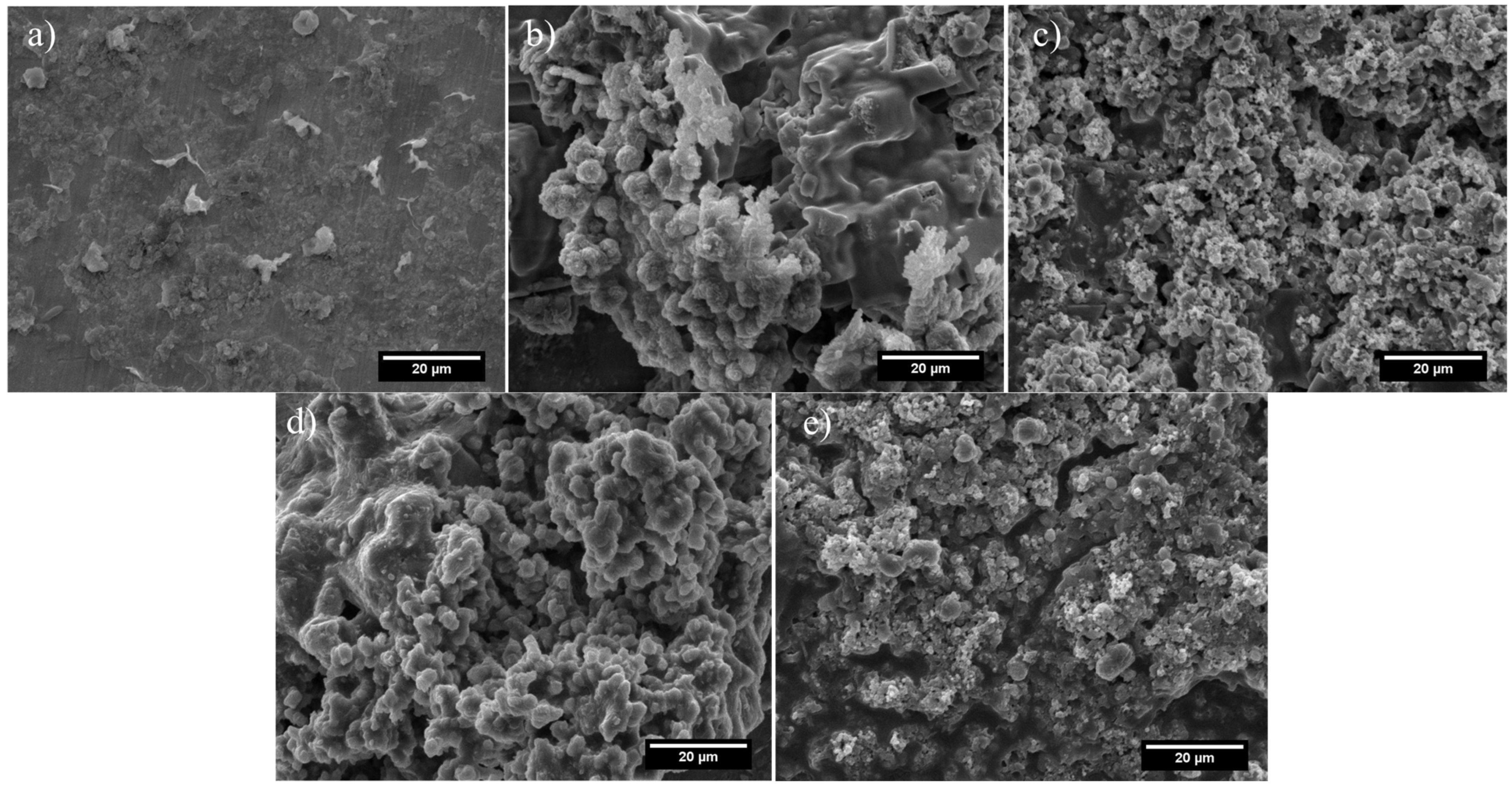 Coatings 13 01946 g015