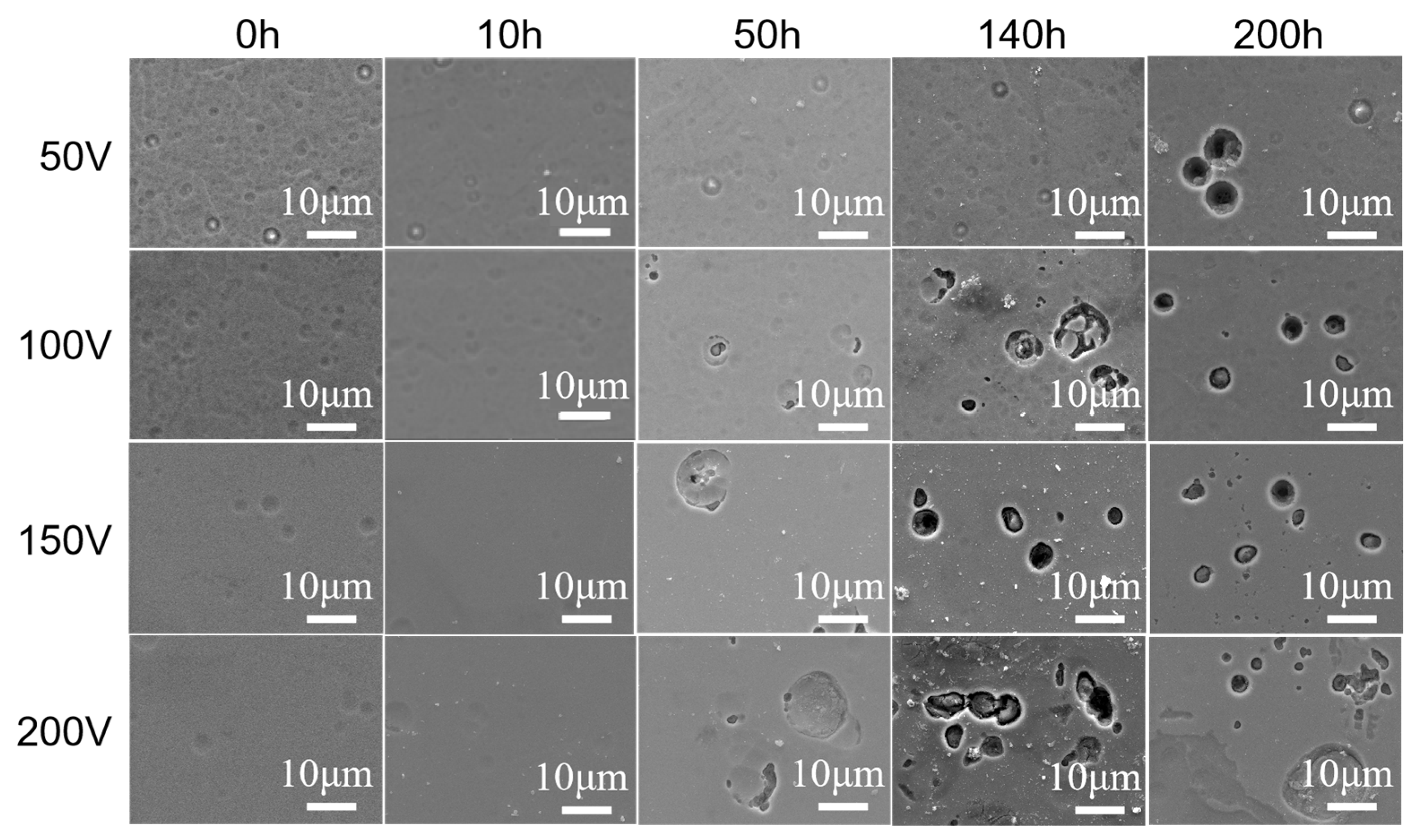 Coatings 13 01948 g011