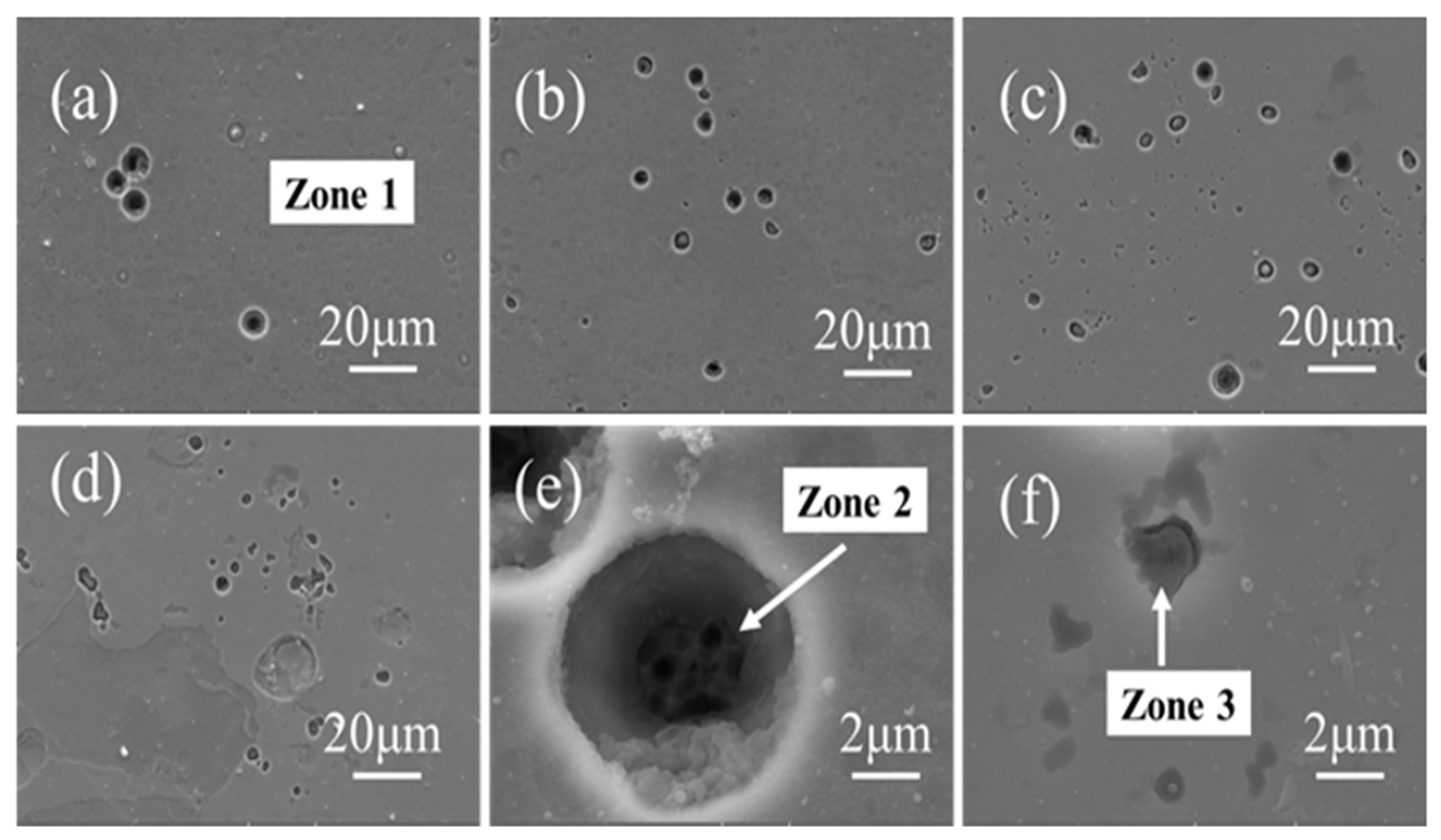 Coatings 13 01948 g012