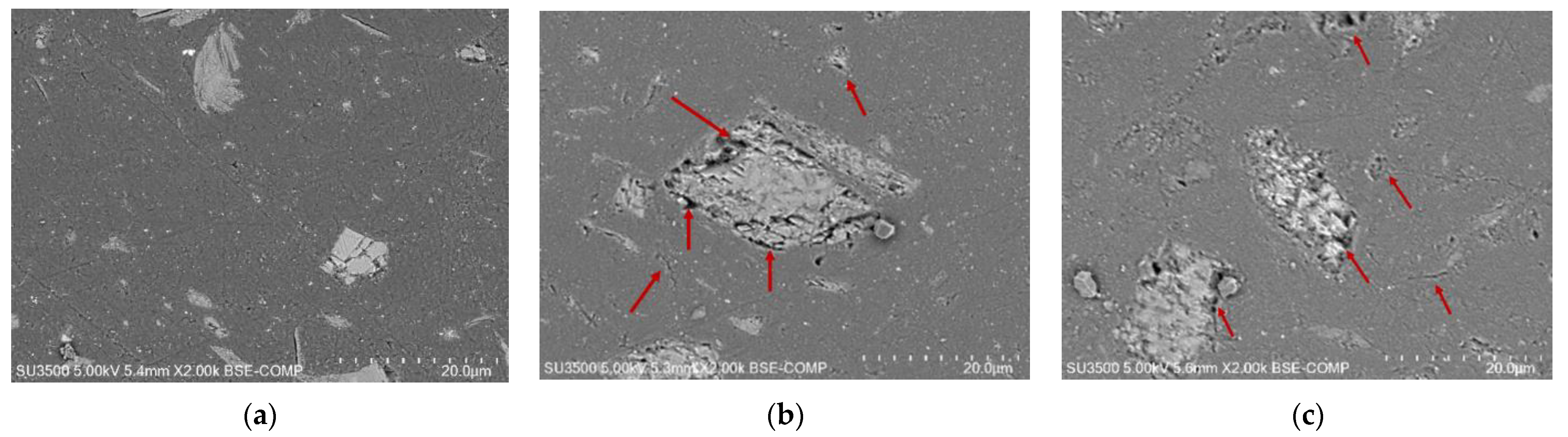 Coatings 13 01949 g009