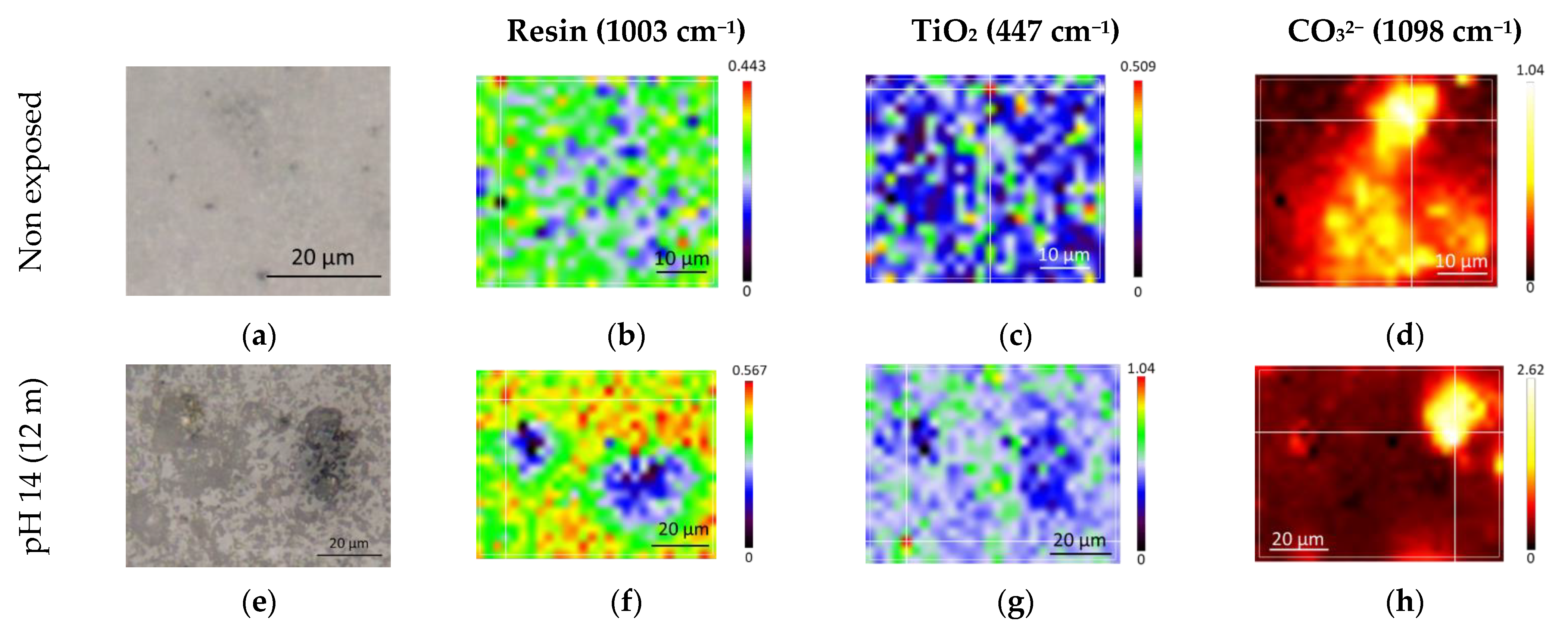 Coatings 13 01949 g010