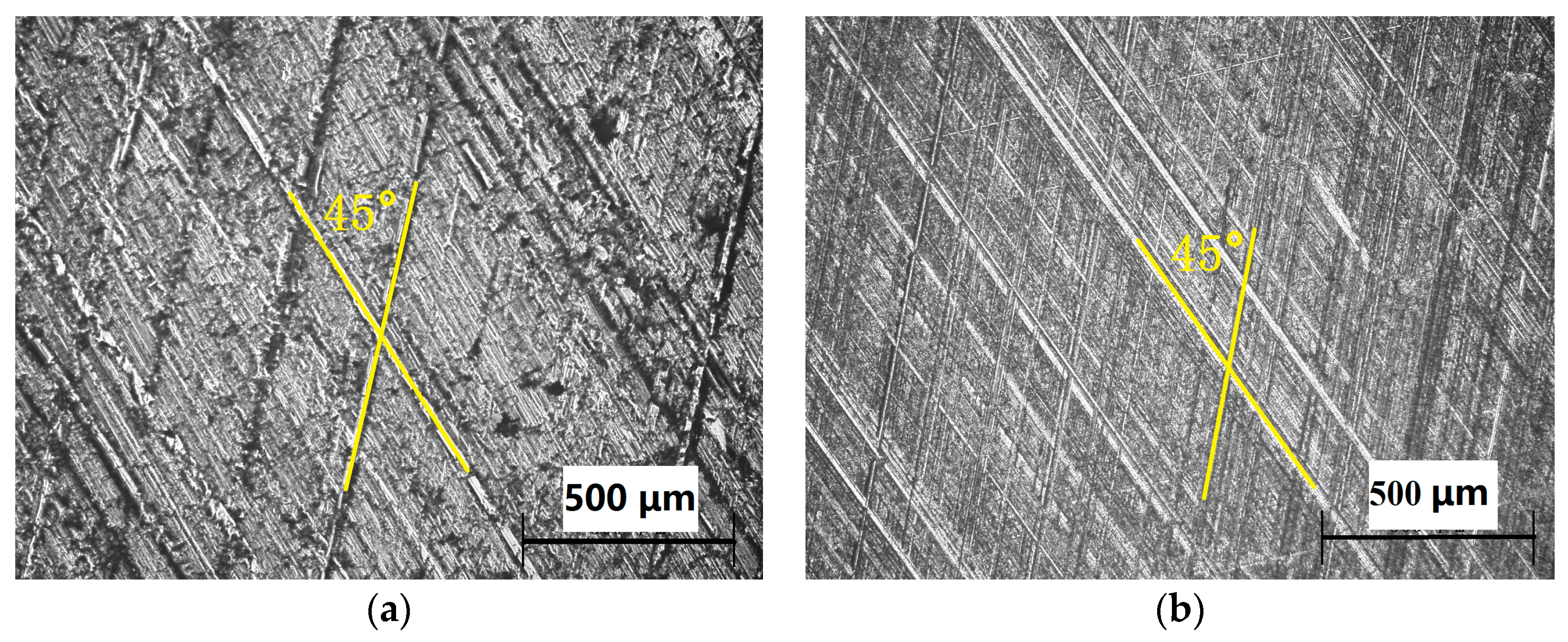 Coatings 13 01951 g001