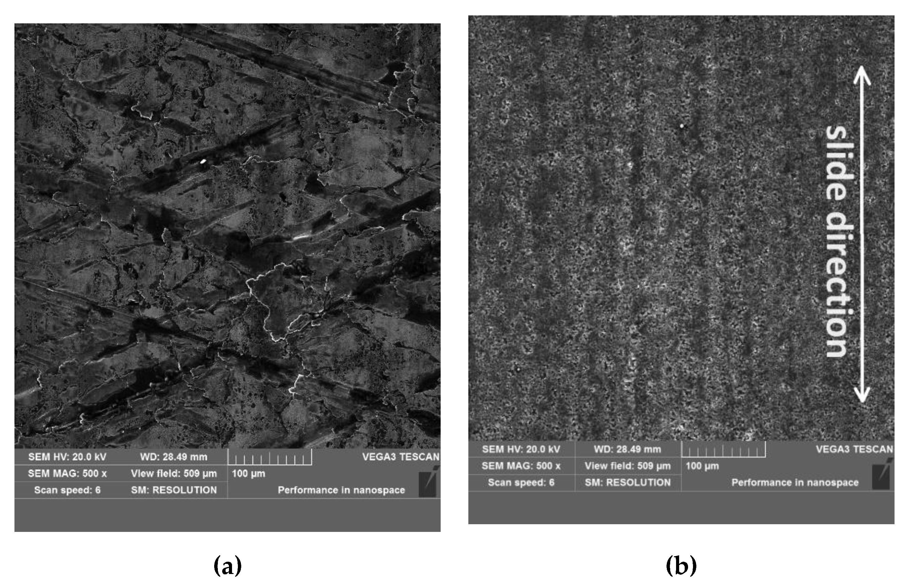Coatings 13 01951 g007