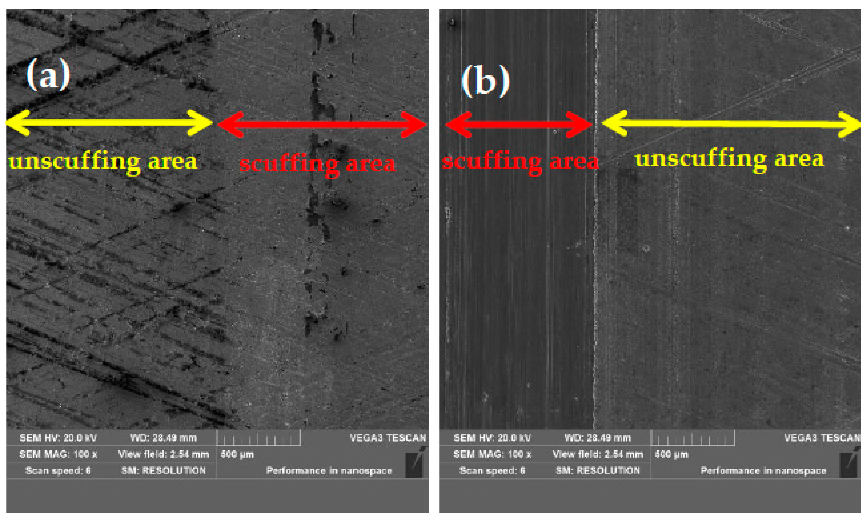Coatings 13 01951 g011