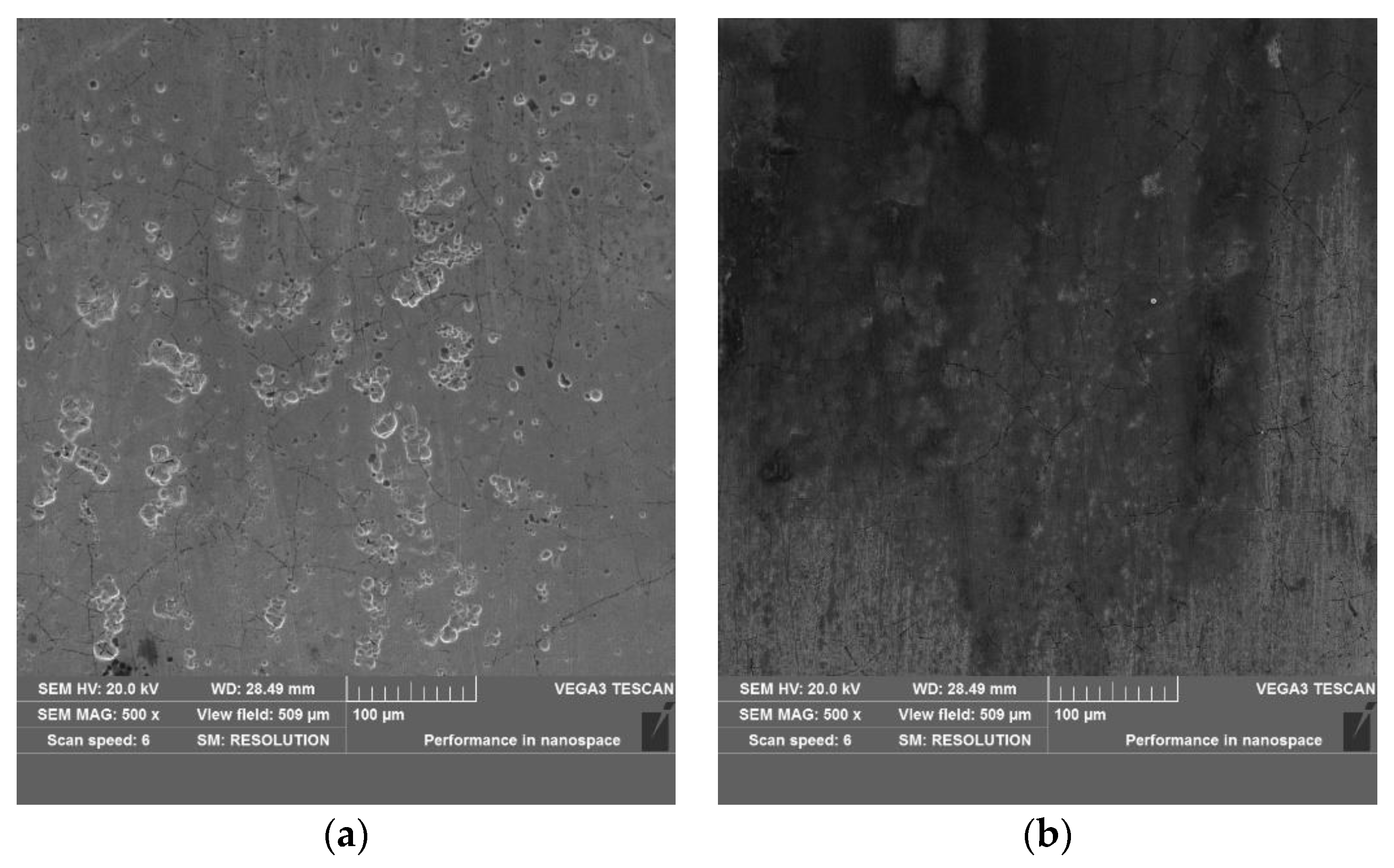 Coatings 13 01951 g012