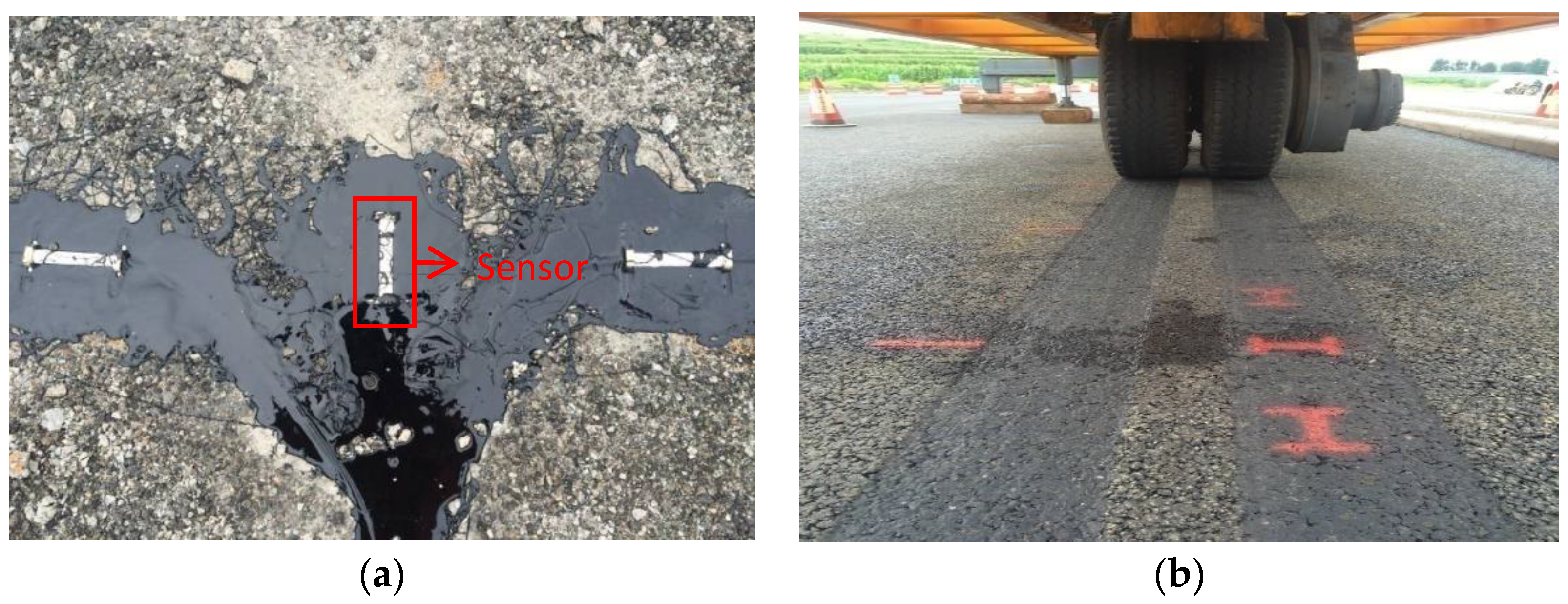 Coatings 13 01955 g006