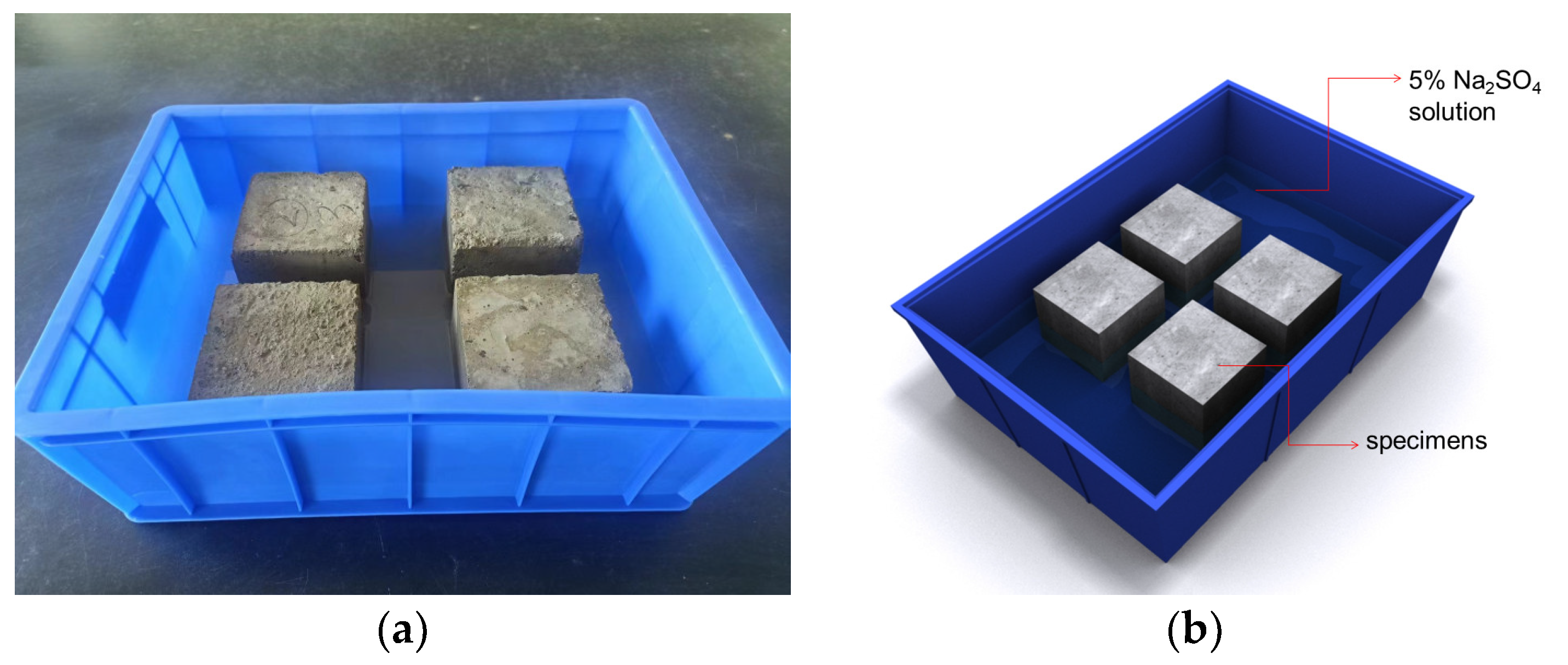 Coatings 13 01958 g002