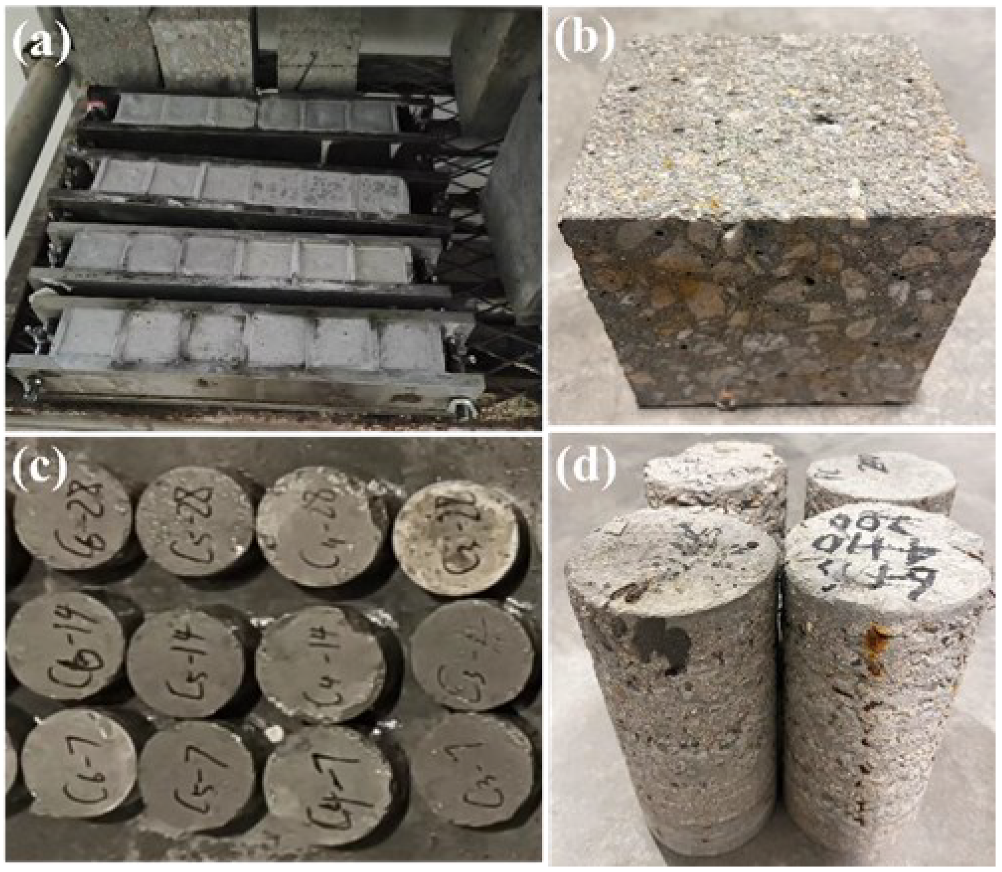 Coatings 13 01964 g003