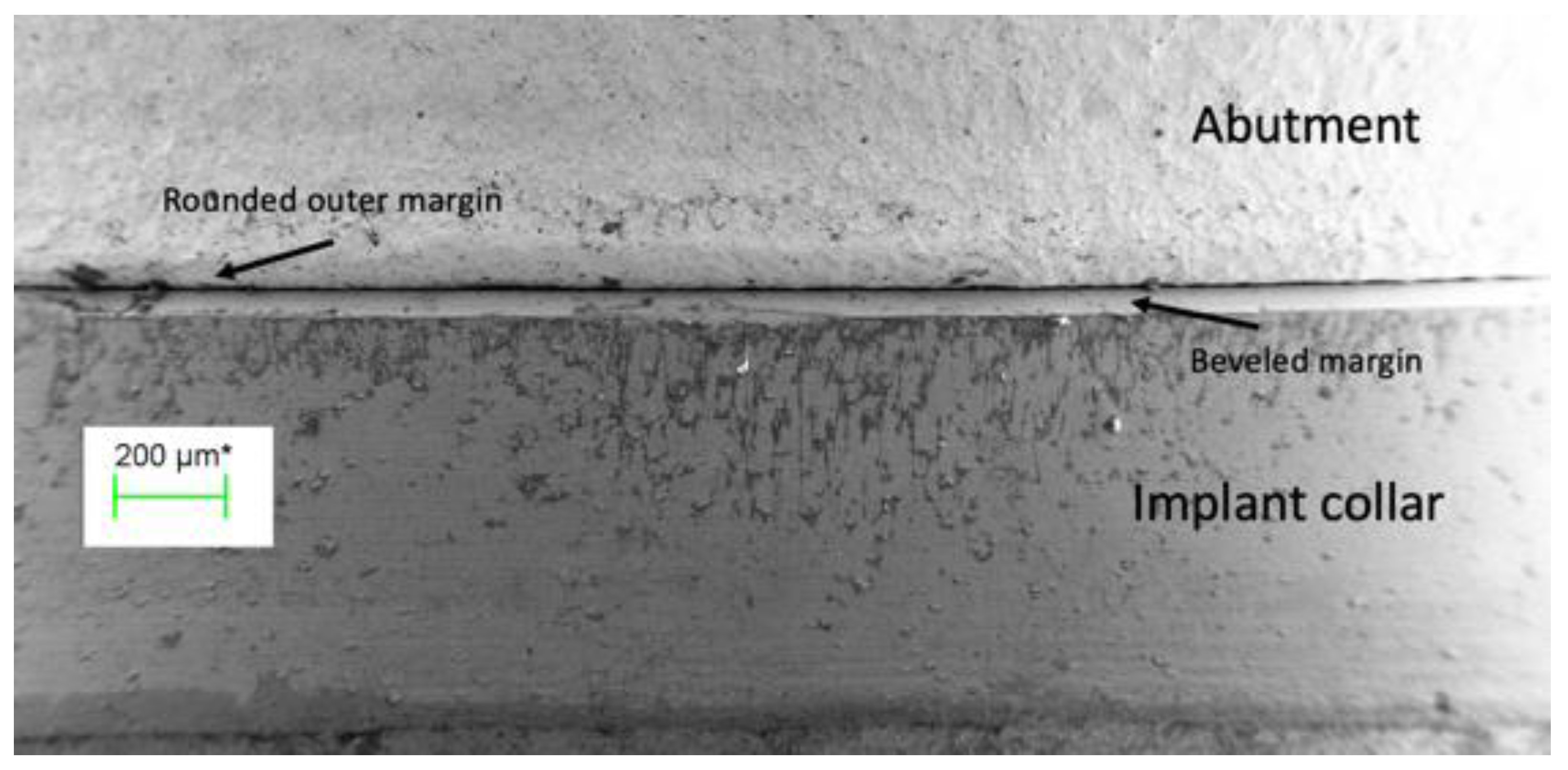 Coatings 13 01976 g004 Coatings 13 01976 g004