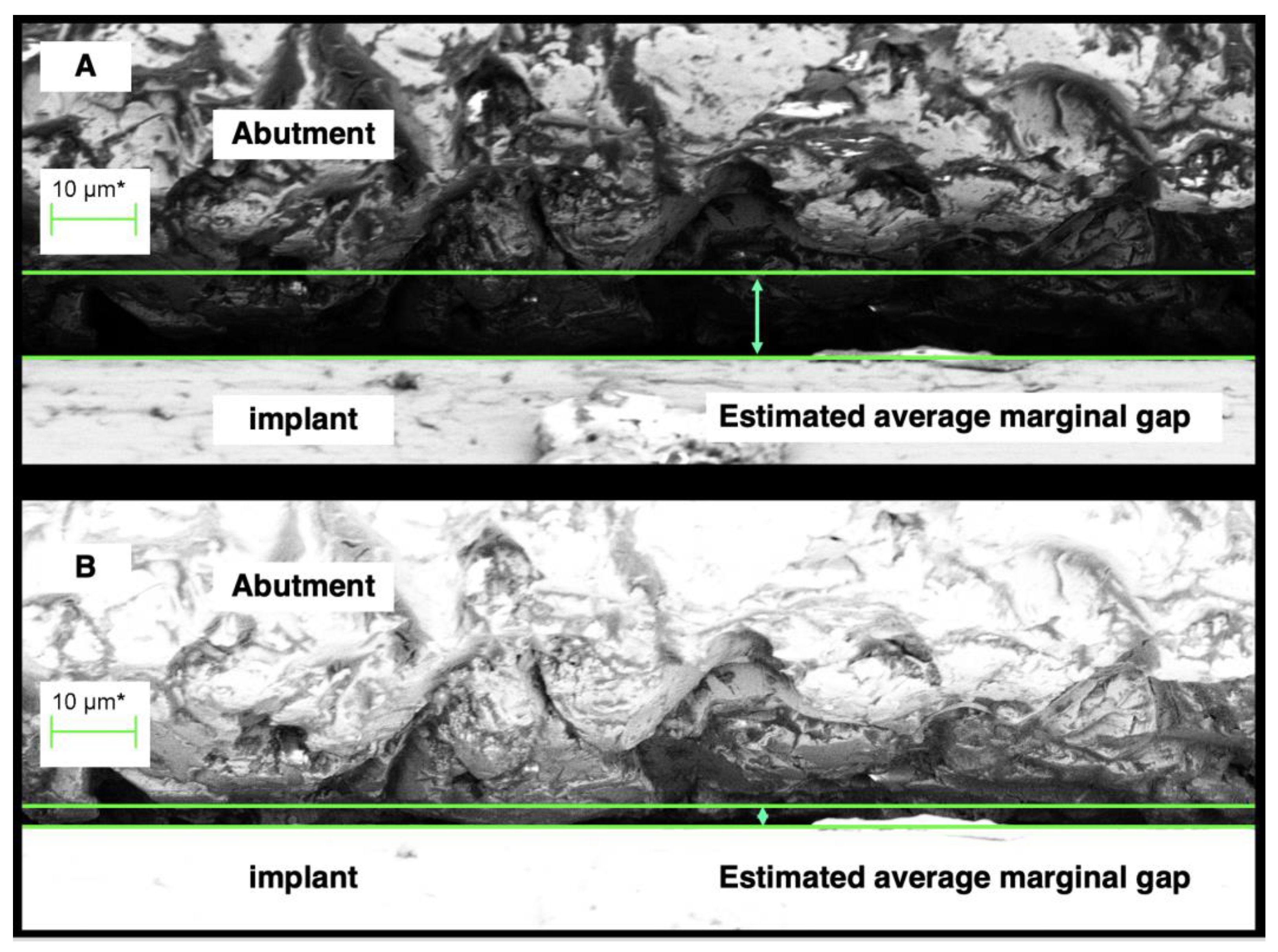 Coatings 13 01976 g005 Coatings 13 01976 g005