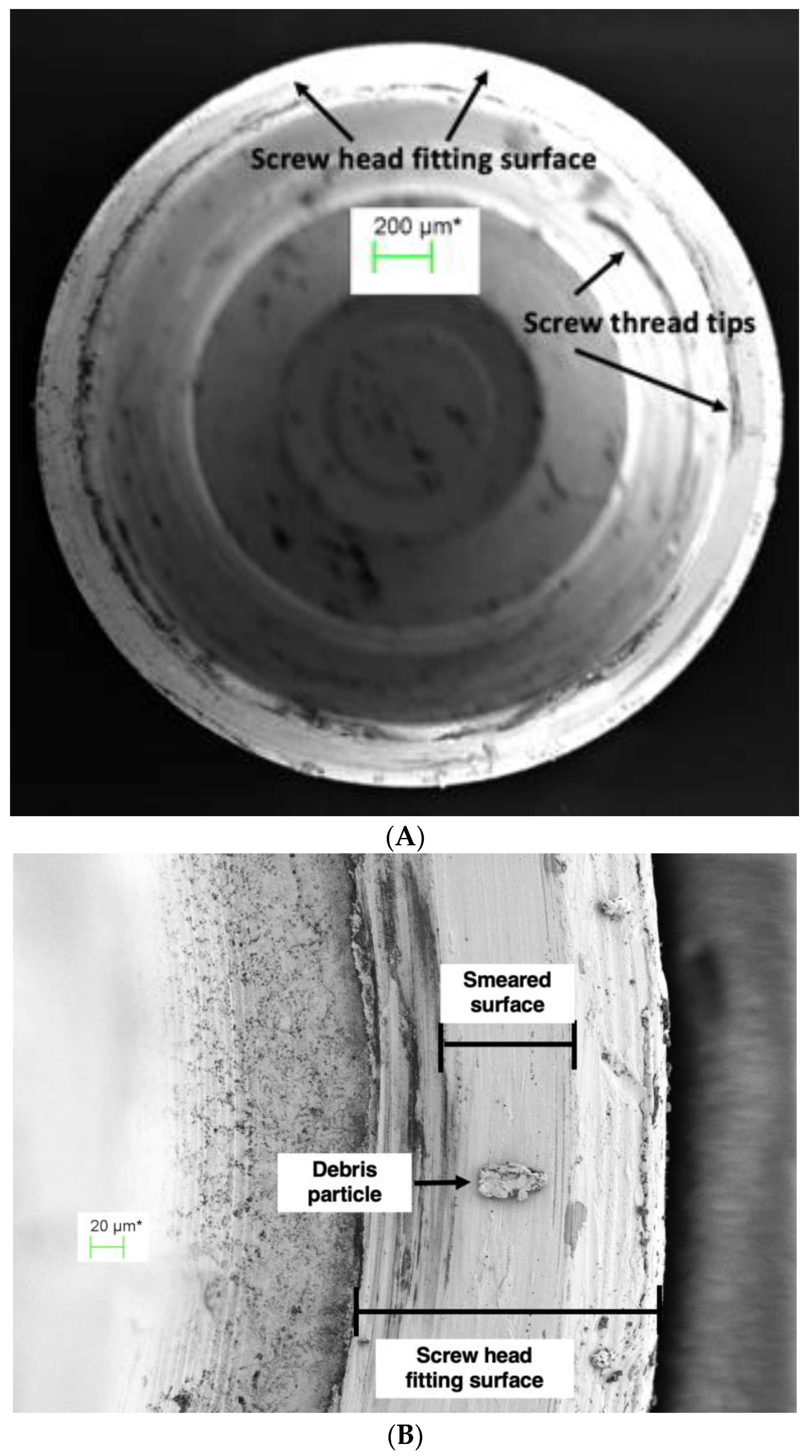 Coatings 13 01976 g008 Coatings 13 01976 g008