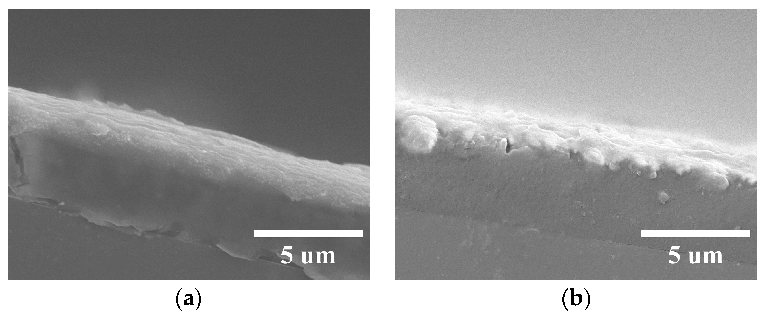 Coatings 13 01977 g005