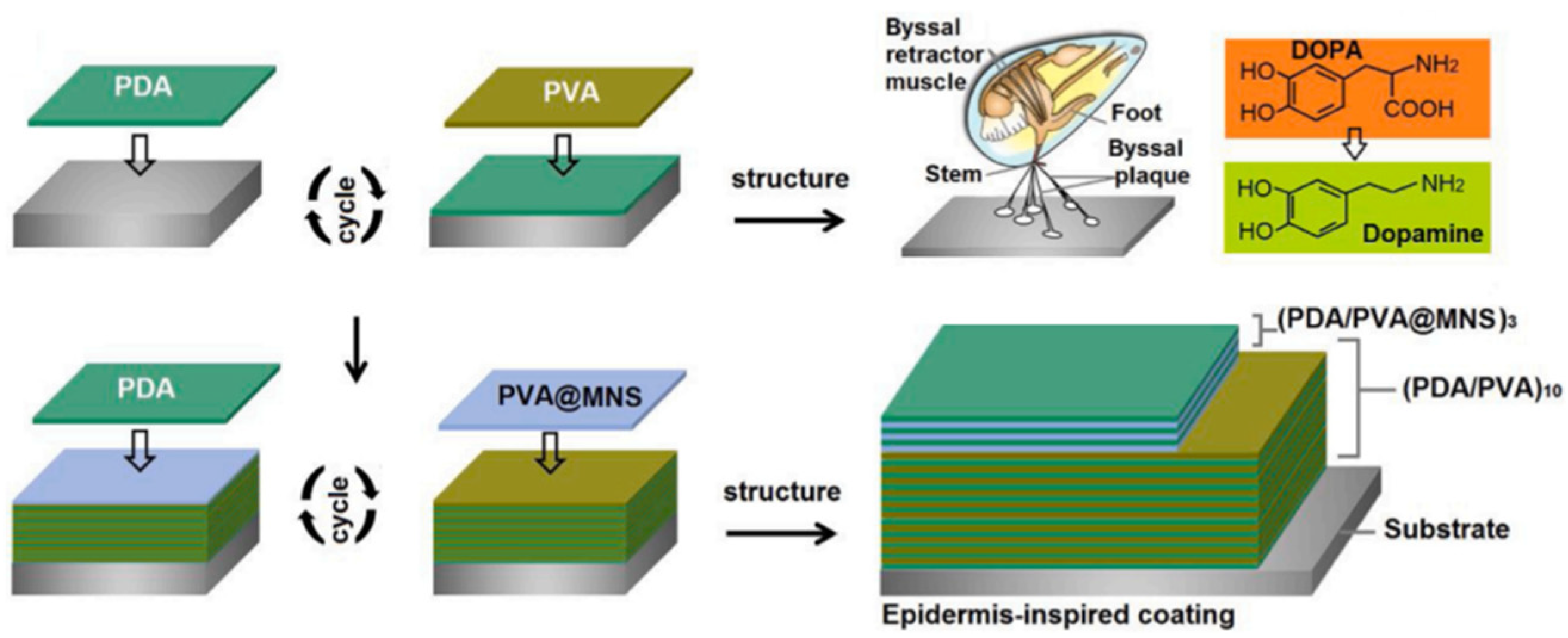 Coatings 13 02019 g004
