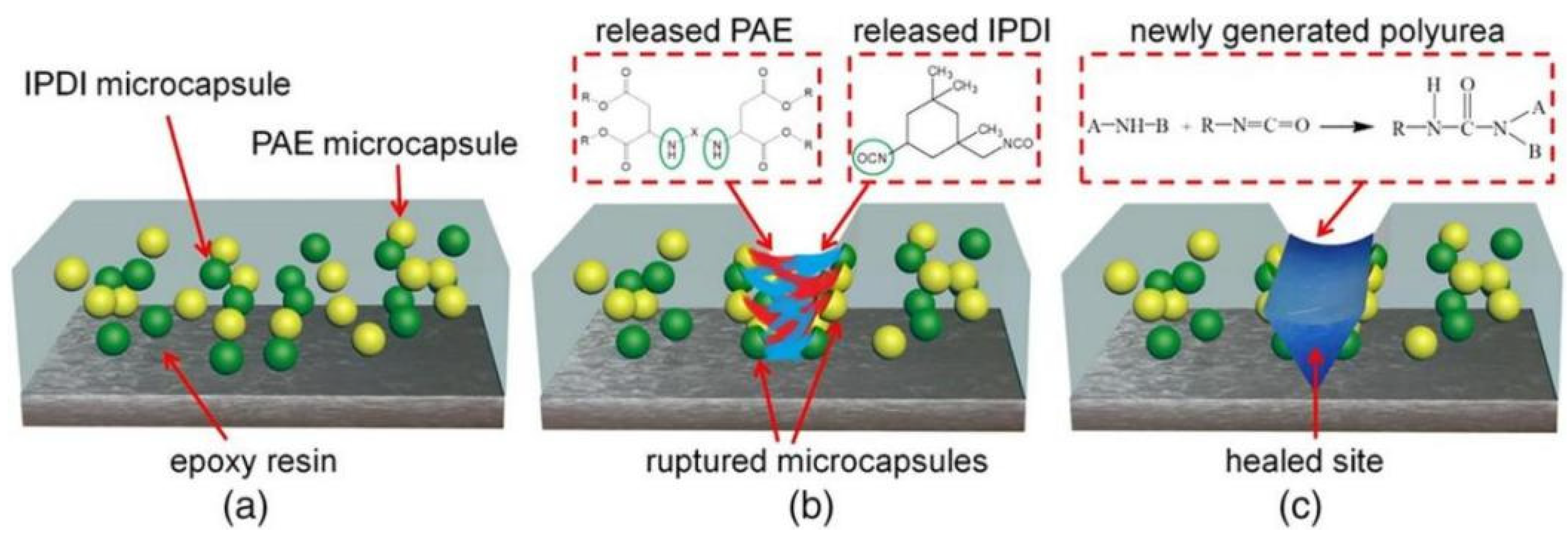 Coatings 13 02019 g018